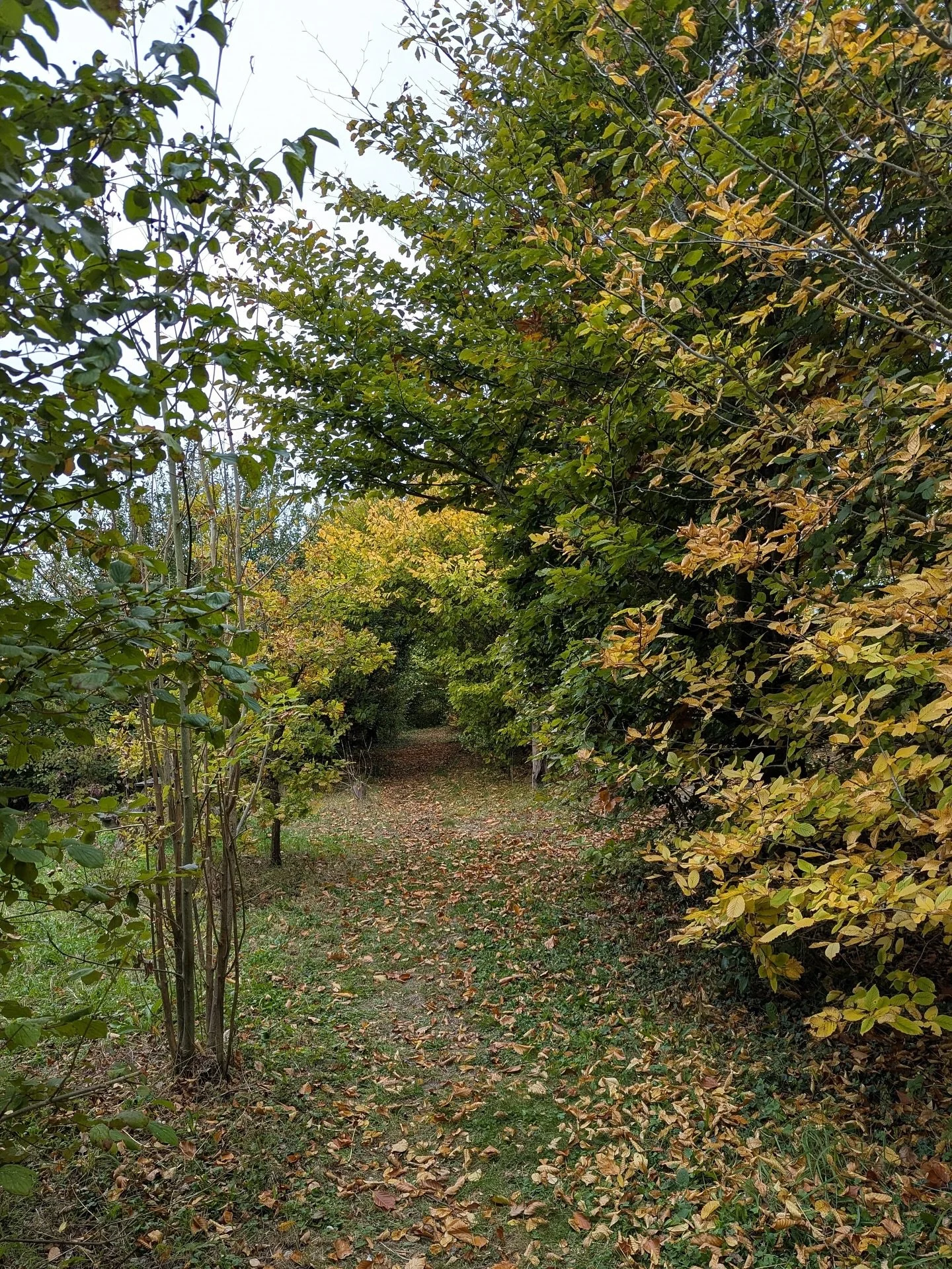 After the fullness of summer and the letting go of autumn, the winter season asks for trust. Trust in rest, in roots, in the unseen work that continues beneath the surface. What looks like stillness is often quiet preparation.

Now, as the year turns