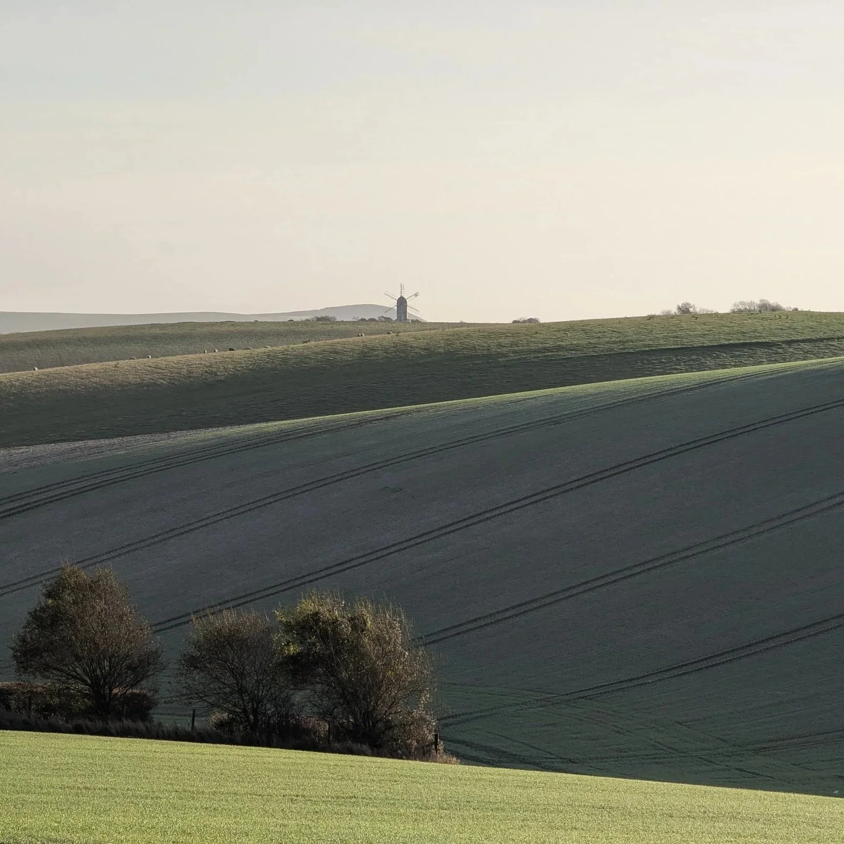 When the landscape goes quiet: leadership in the winter of the year
