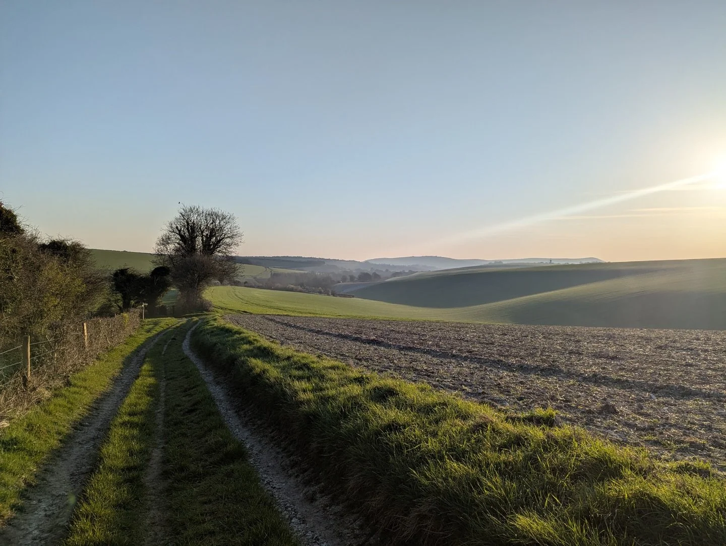 The newsletter has a new rhythm now. Quarterly, and aligned with the equinoxes and solstices. Four issues a year, each one rooted in the season it arrives in.

This one lands at the Spring Equinox. That brief moment when day and night stood in perfec