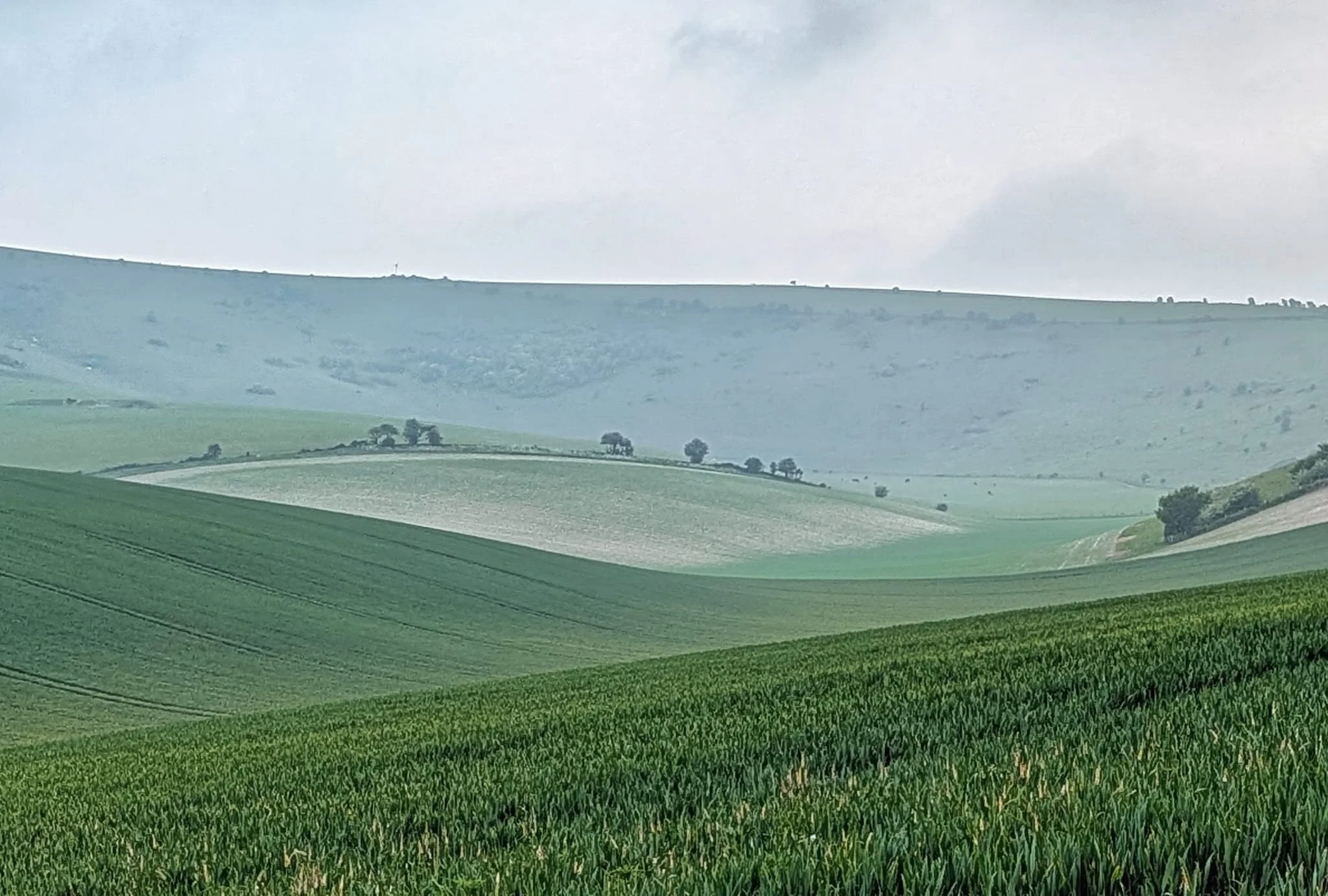 Going outside to go inside.

Walk and talk coaching is one of the things I am asked about most. So here is a little of how I do it, and why.

Being outside changes something. The rhythm is different. The pace is different. There is more silence, more