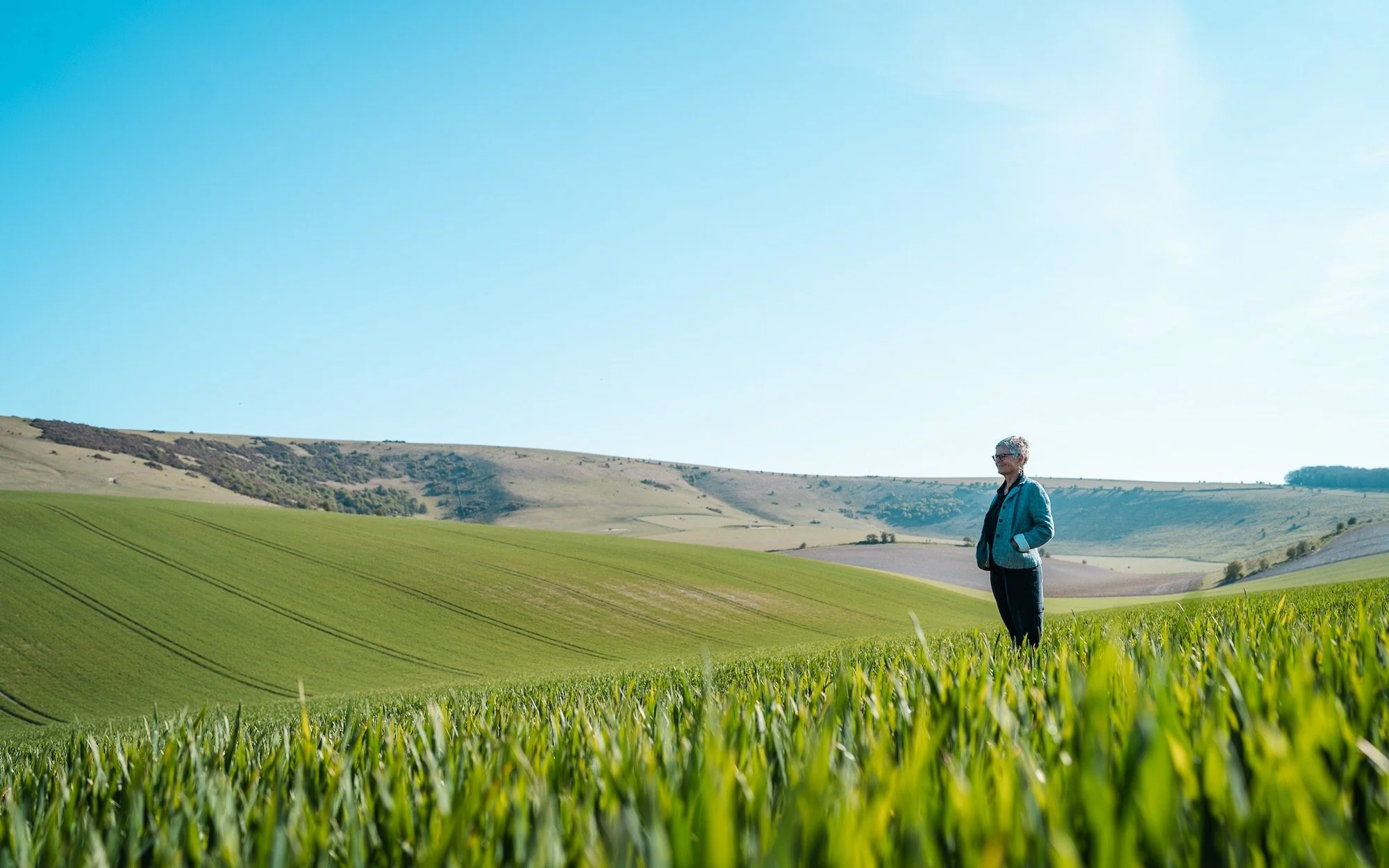 The Power of Self-Compassion