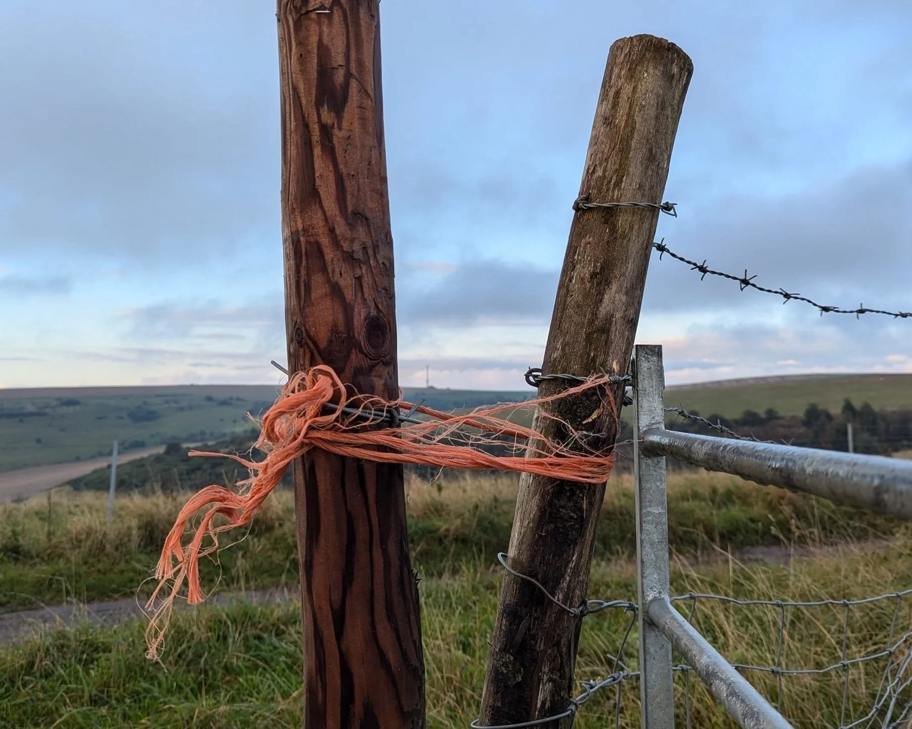 Tethering and Untethering: Why Are They Important?