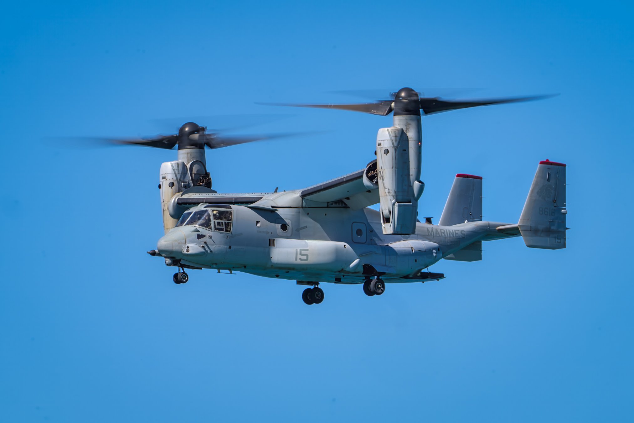 PacAir GC Endorphin Osprey Web-11.jpg
