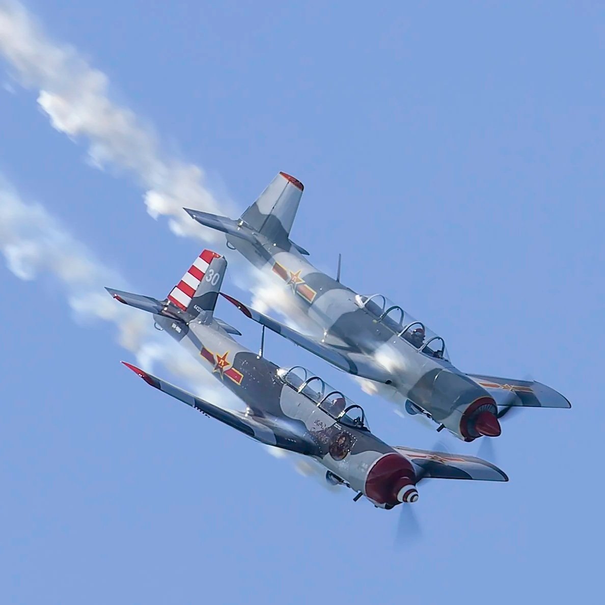 Red Star Roolettes Display Team
