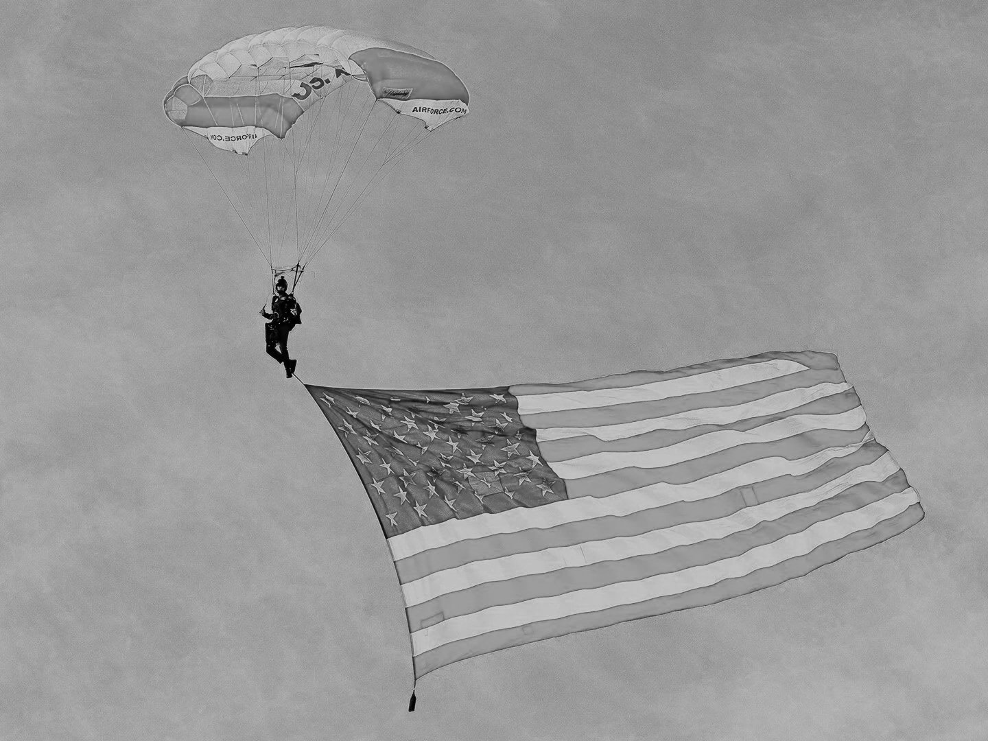 USAF Wings of Blue | Withdrawn