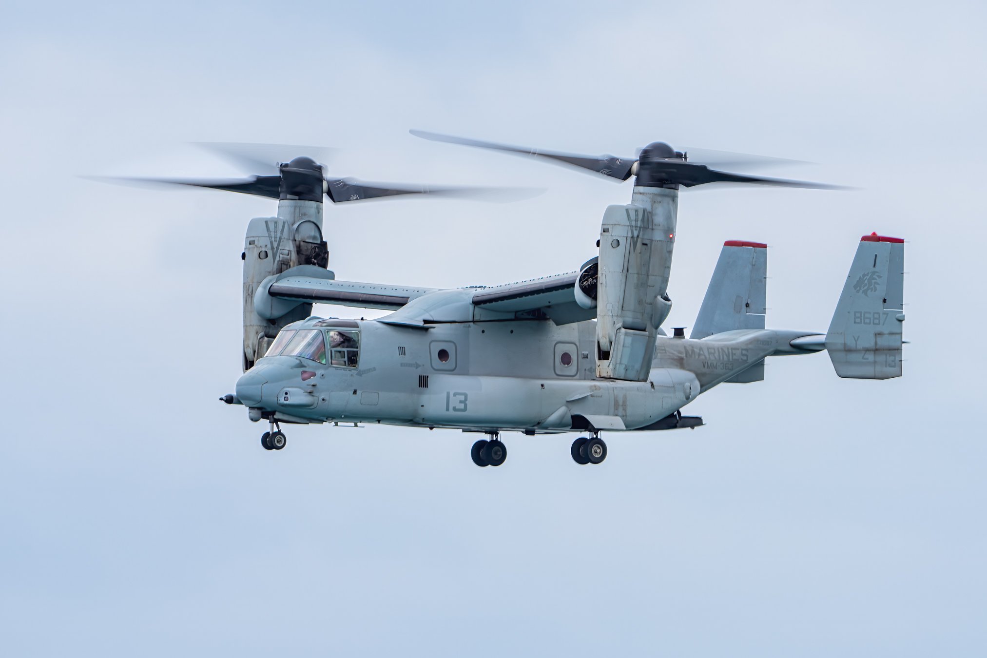 PacAir GC Endorphin Osprey Web-3.jpg