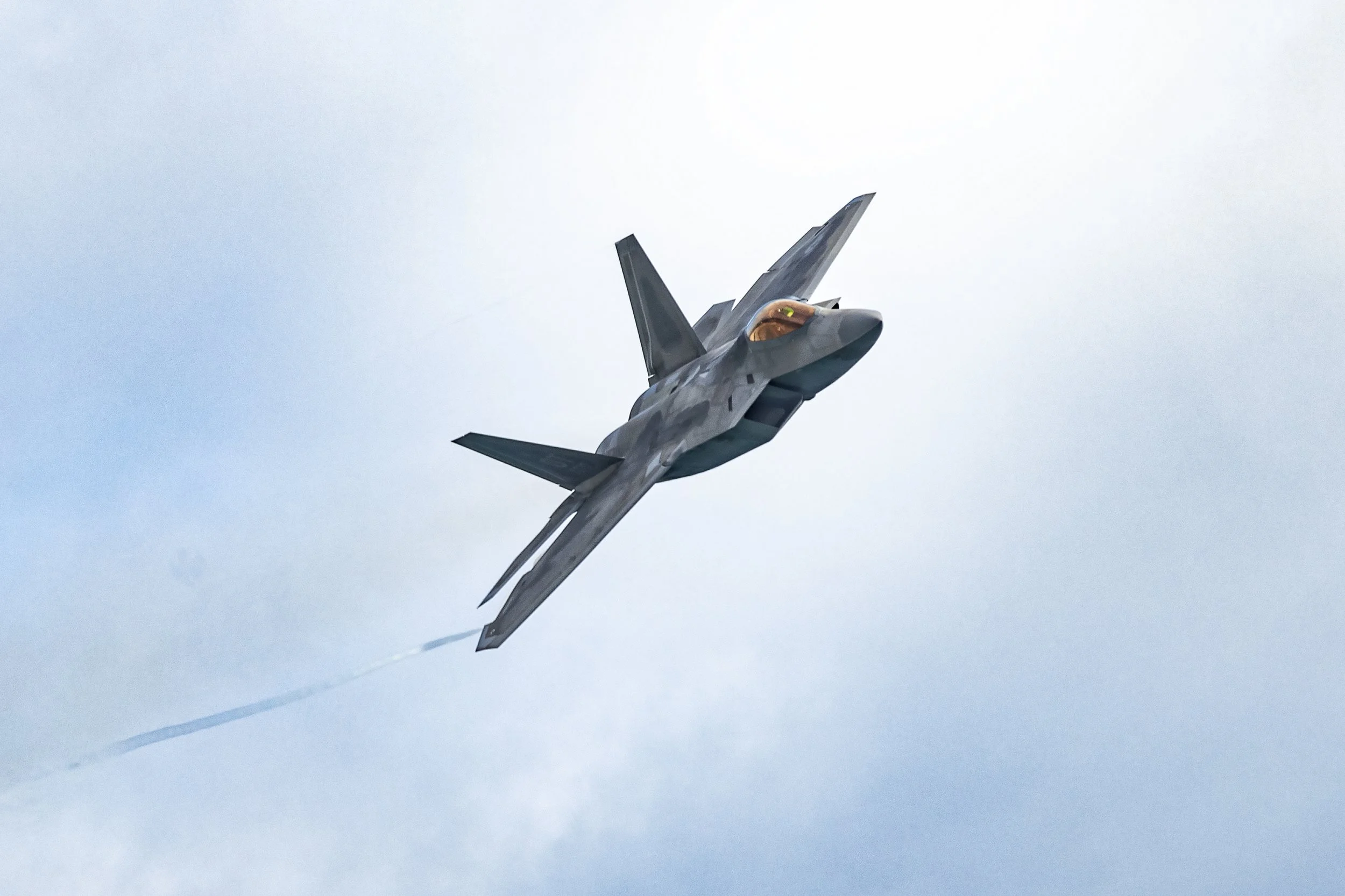 iglover_hb2023_f22raptor (2).jpg
