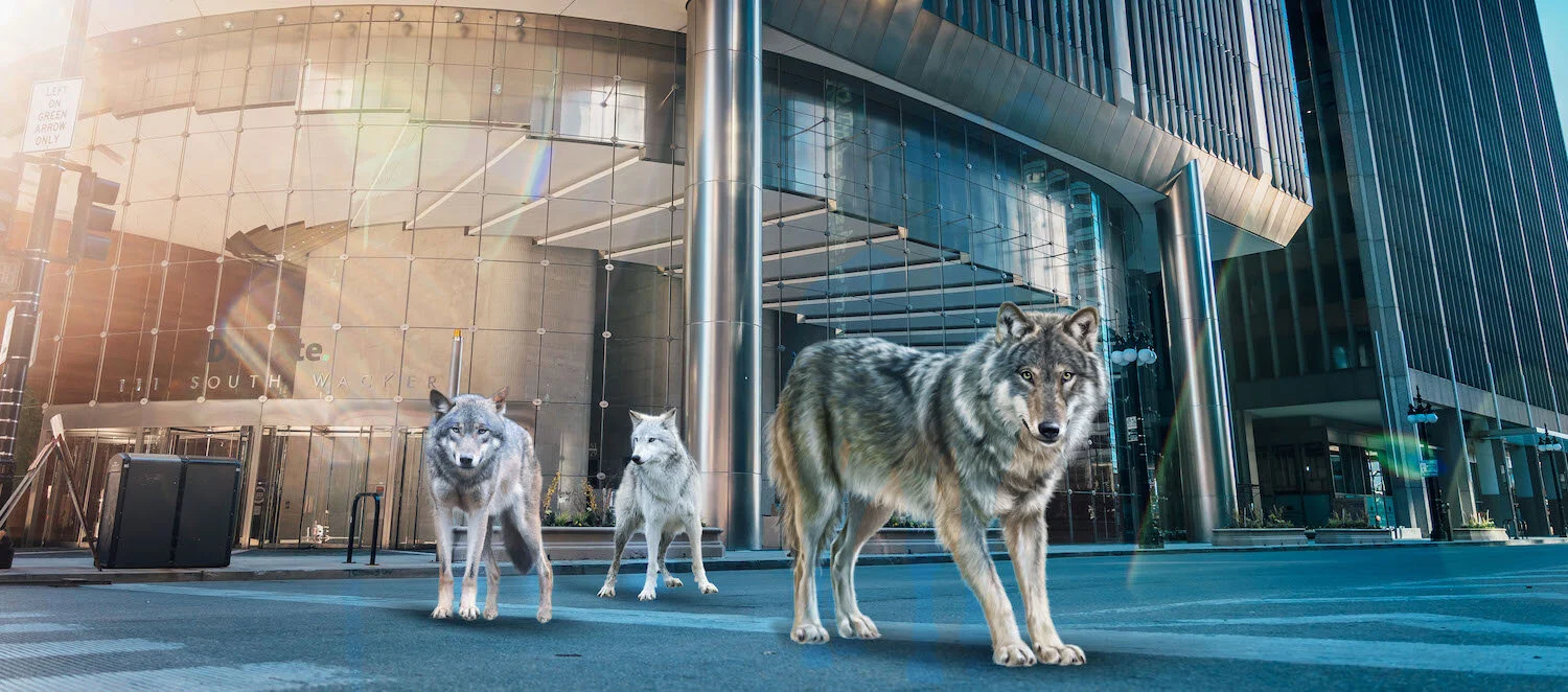 Lead the Pack