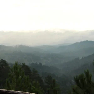 The Long View of Building Business With Social Media