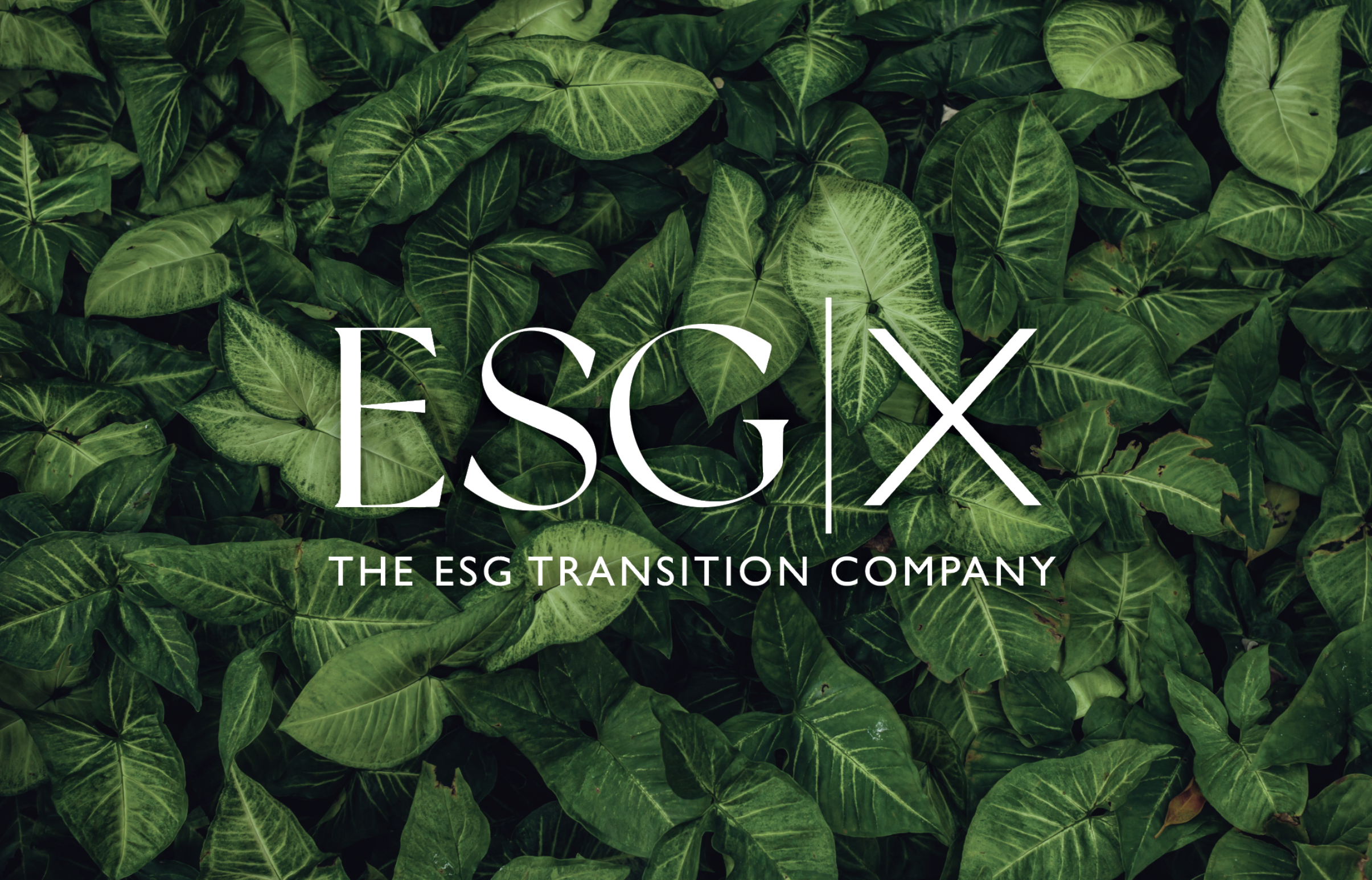 Torque ESG/X Partnership Announcement