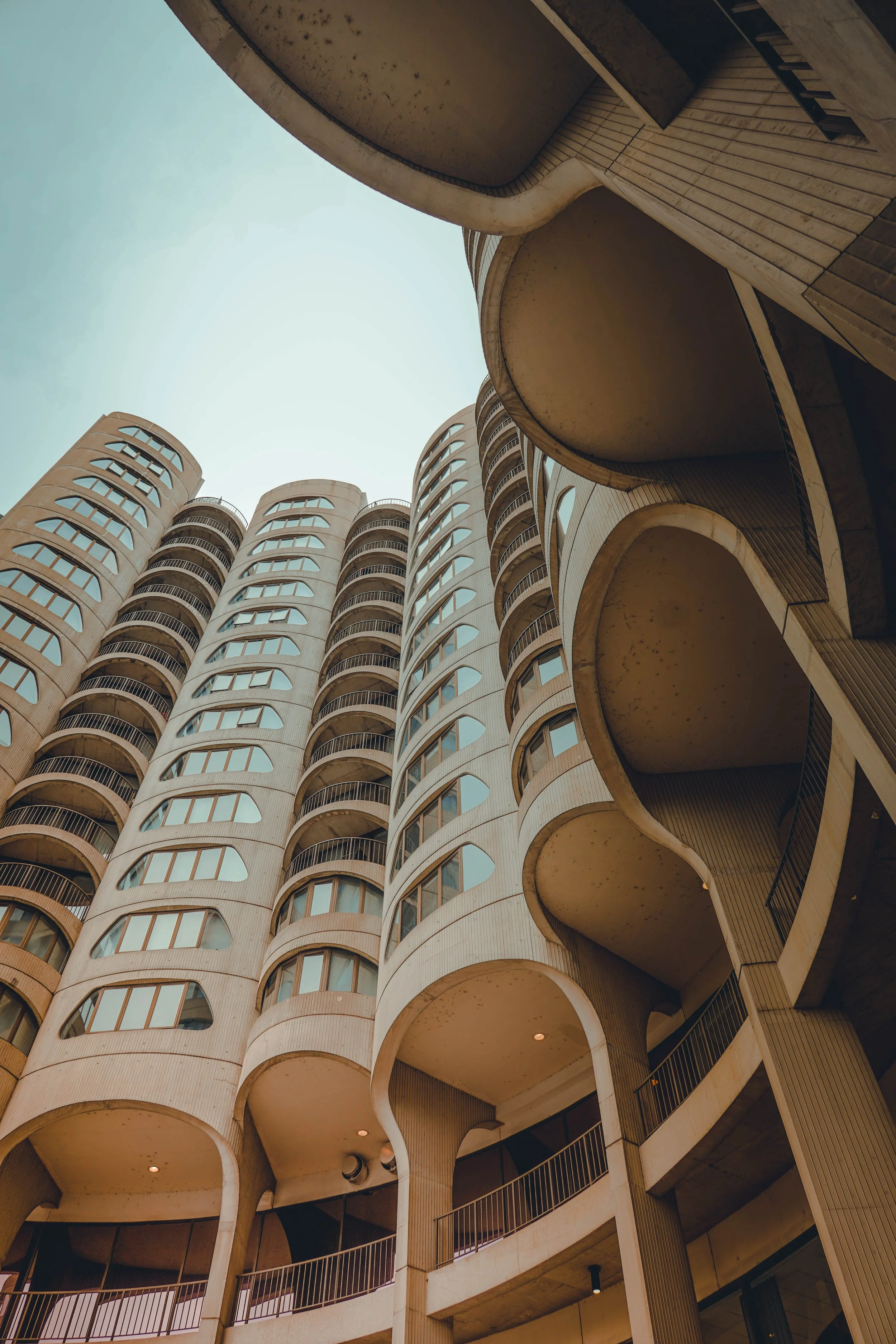 Looking Back at The Future