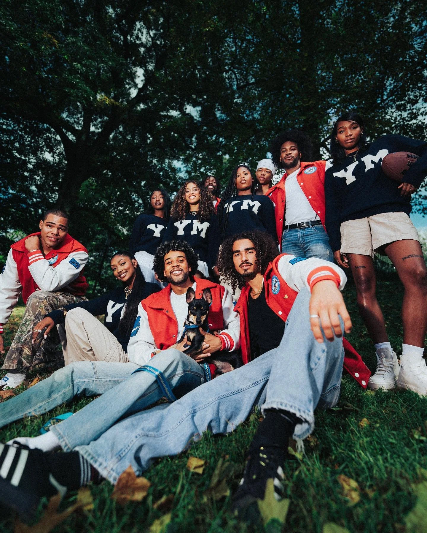 [image] - 6144709.jpeg