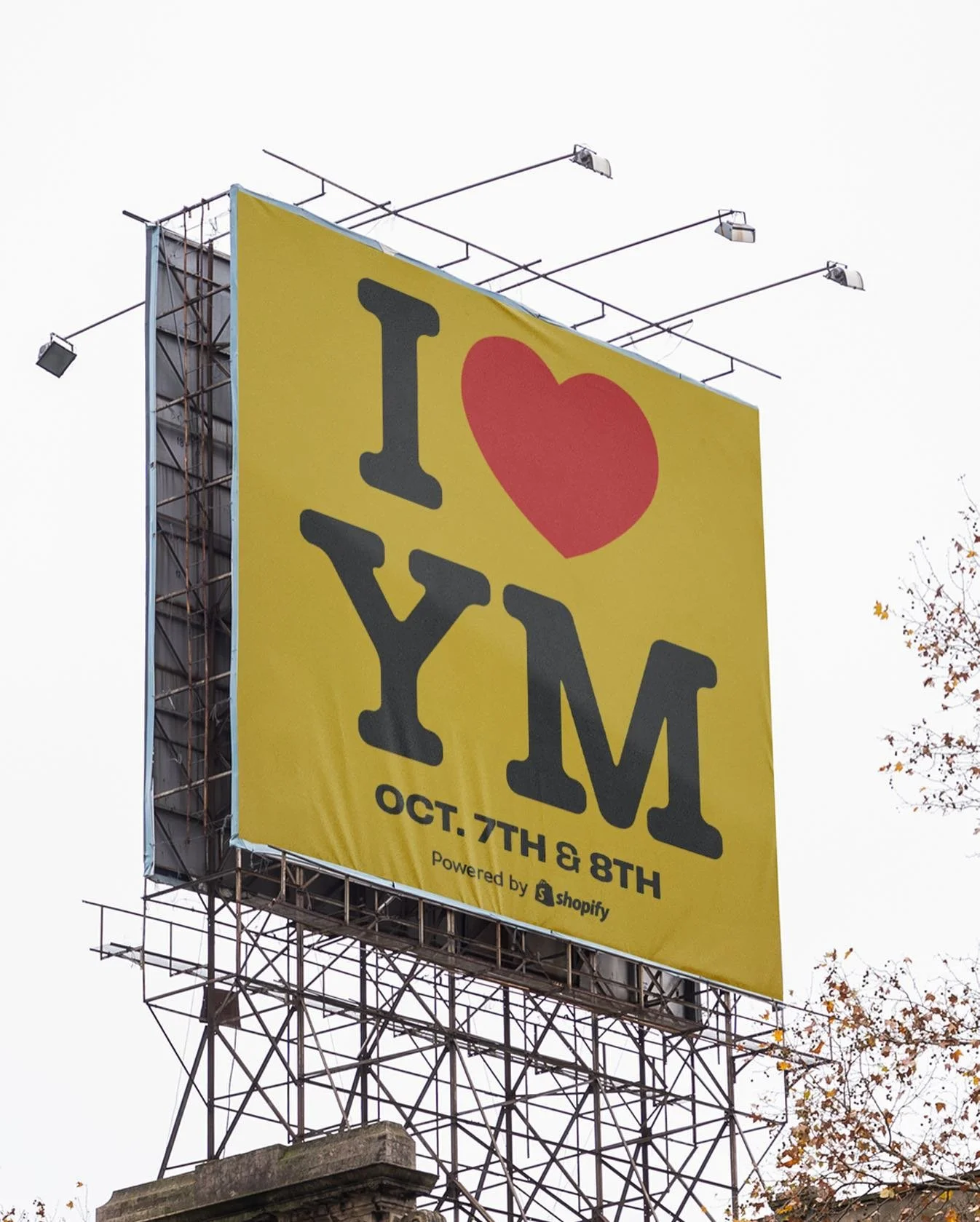 [image] - 6137087.jpeg