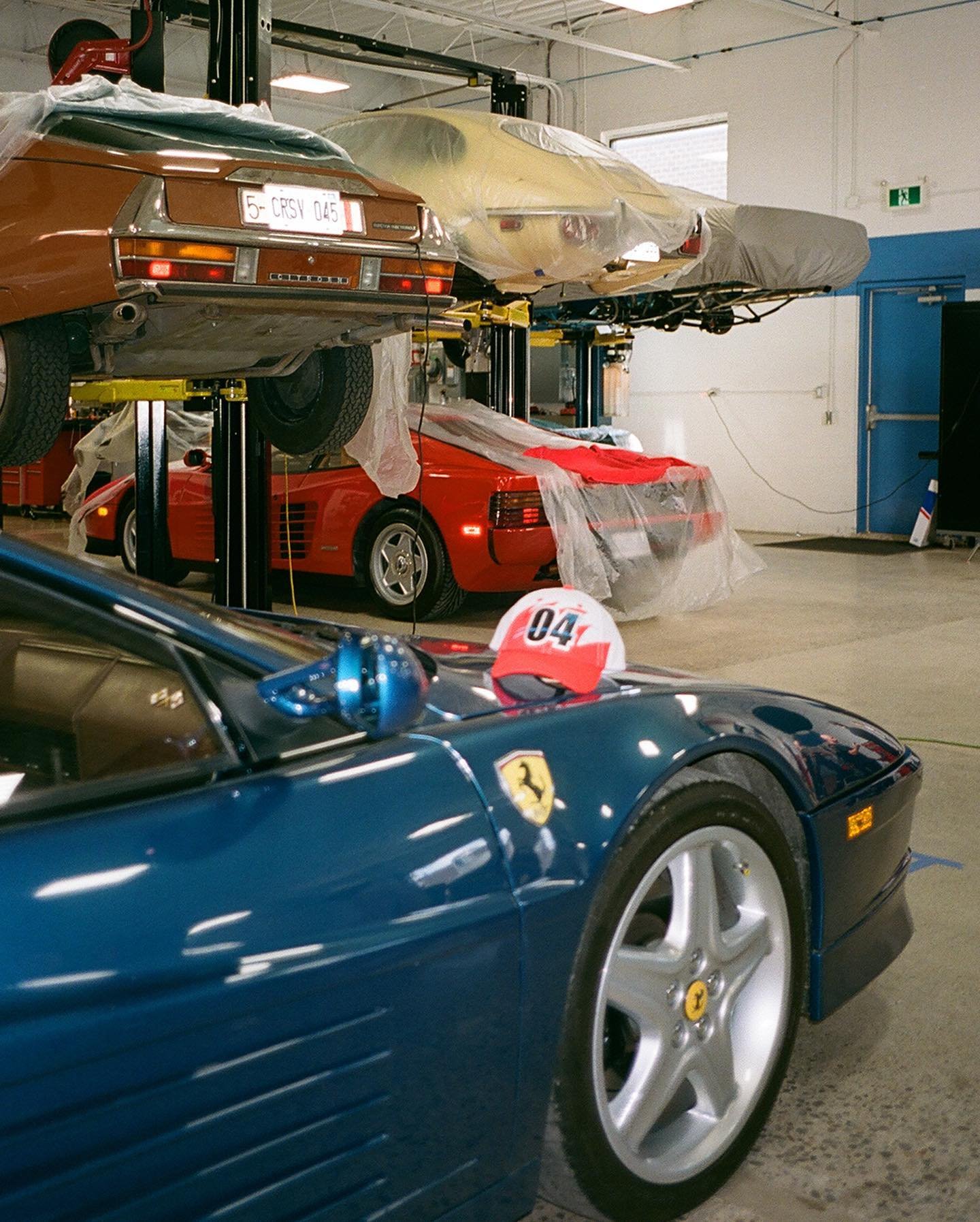 [image] - 7890799.jpeg