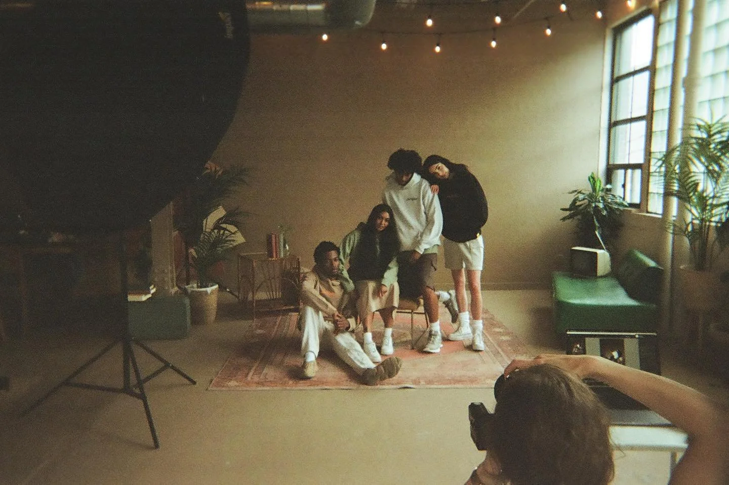 [image] - 5241180.jpeg