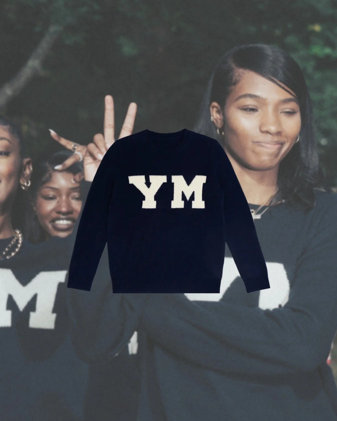 [image] - 6127590.jpeg