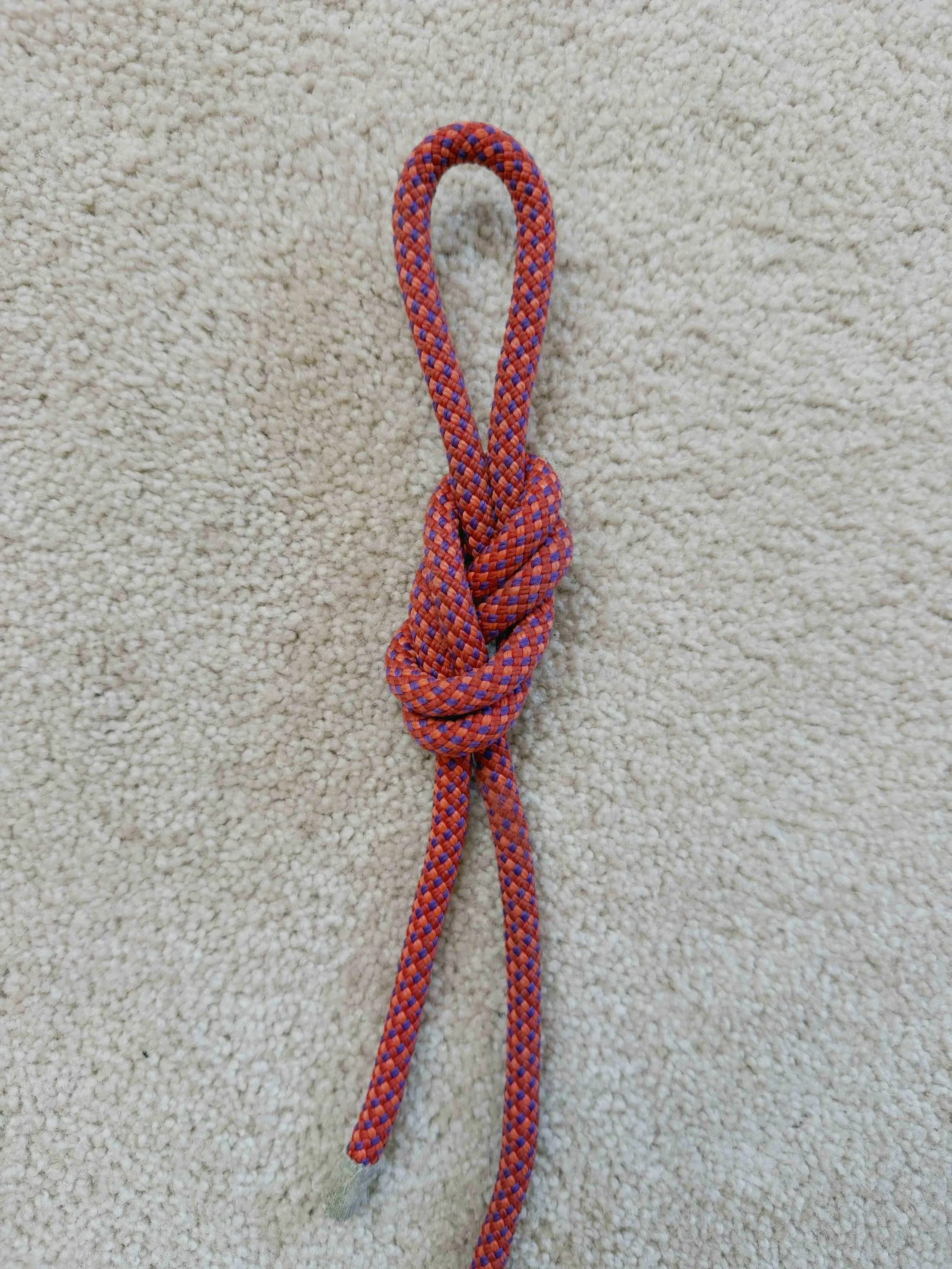 Figure-8 on a bight knot forming an anchor loop