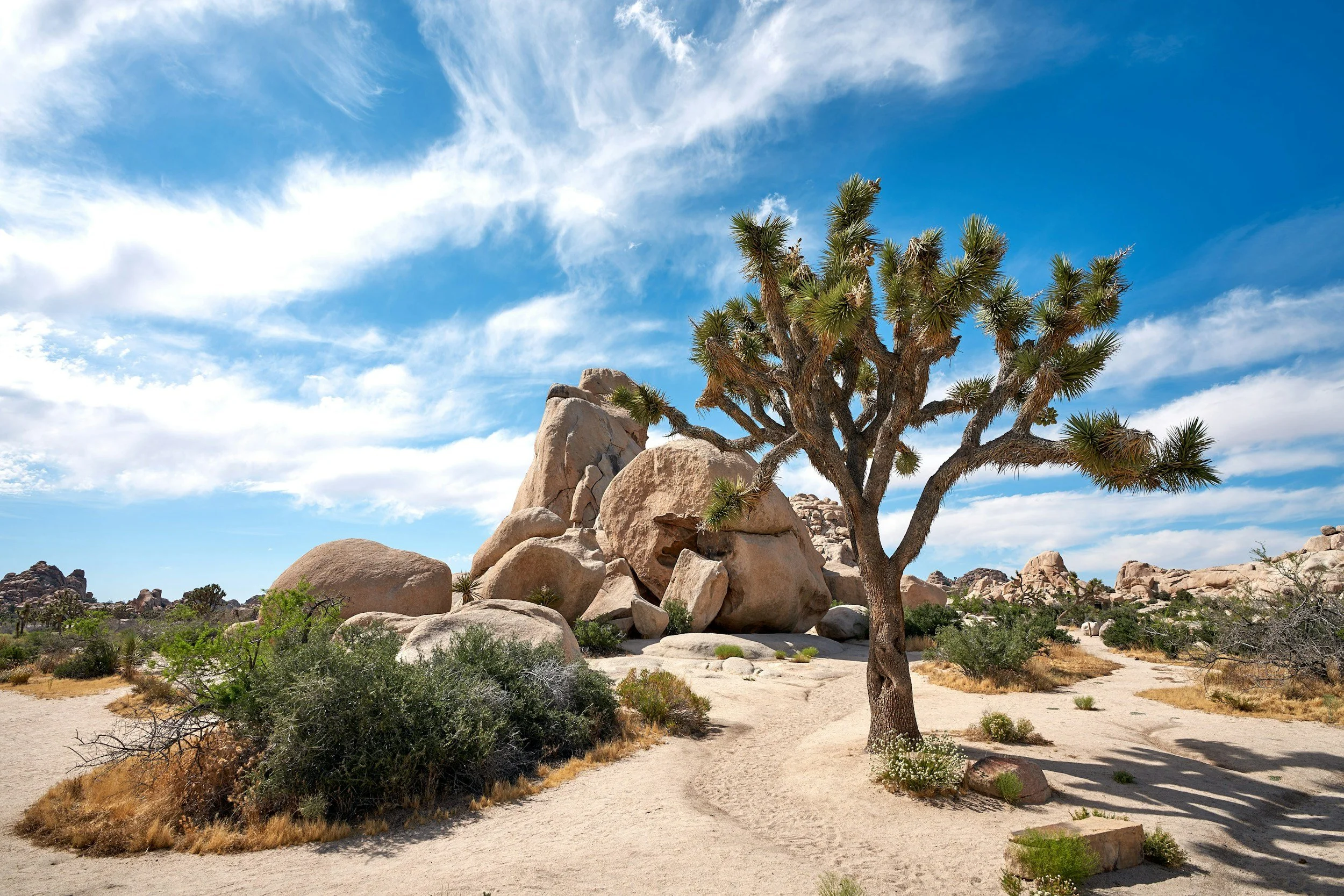 Dramatic granite corridor in Joshua Tree National Park — the setting for The Great Misdirect adventure