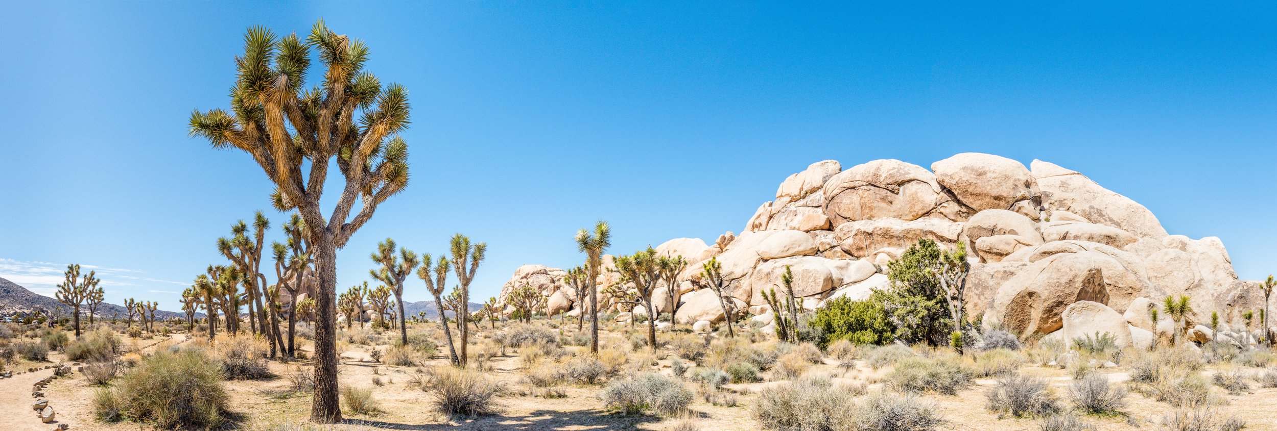Dramatic canyon terrain in Joshua Tree National Park