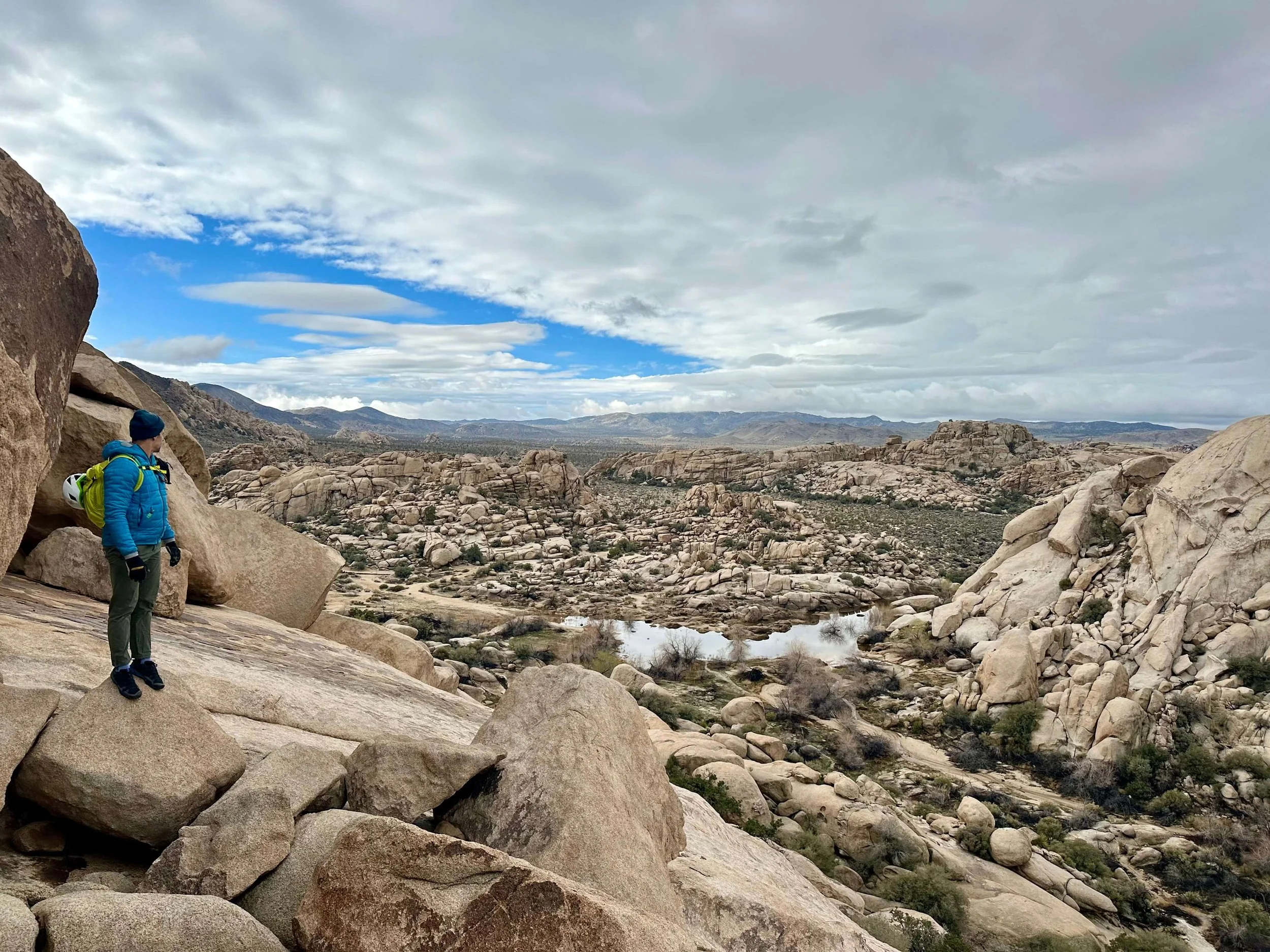 Best Time to Visit Joshua Tree National Park (Month-by-Month Guide)