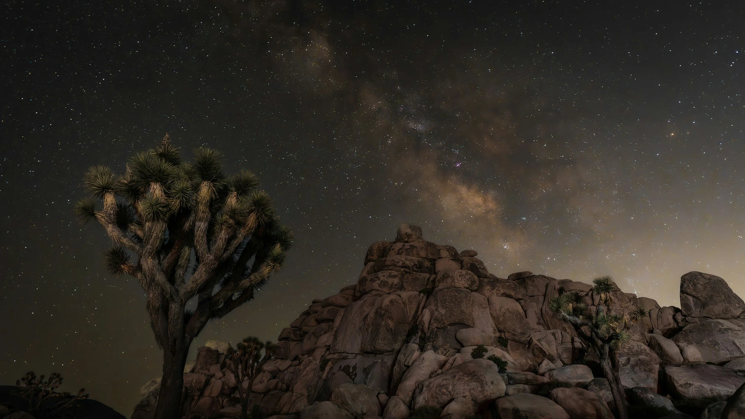 Stargazing at Joshua Tree: The Complete Guide to the Desert's Dark Skies