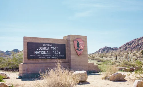 Where to Stay Near Joshua Tree