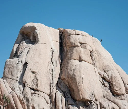 Intersection Rock Joshua Tree