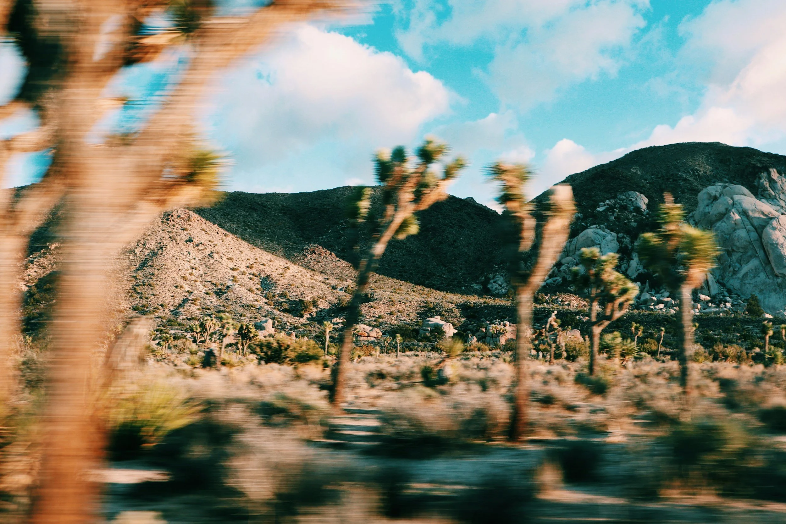 Joshua Tree Day Trip from Los Angeles: The Complete 2026 Guide