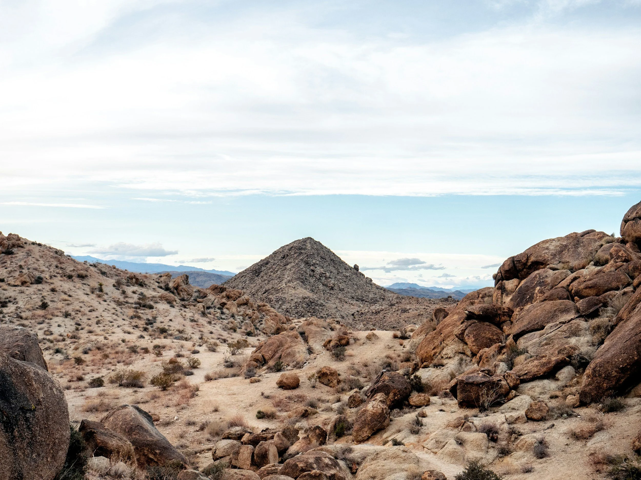 Best Apps for Visiting Joshua Tree