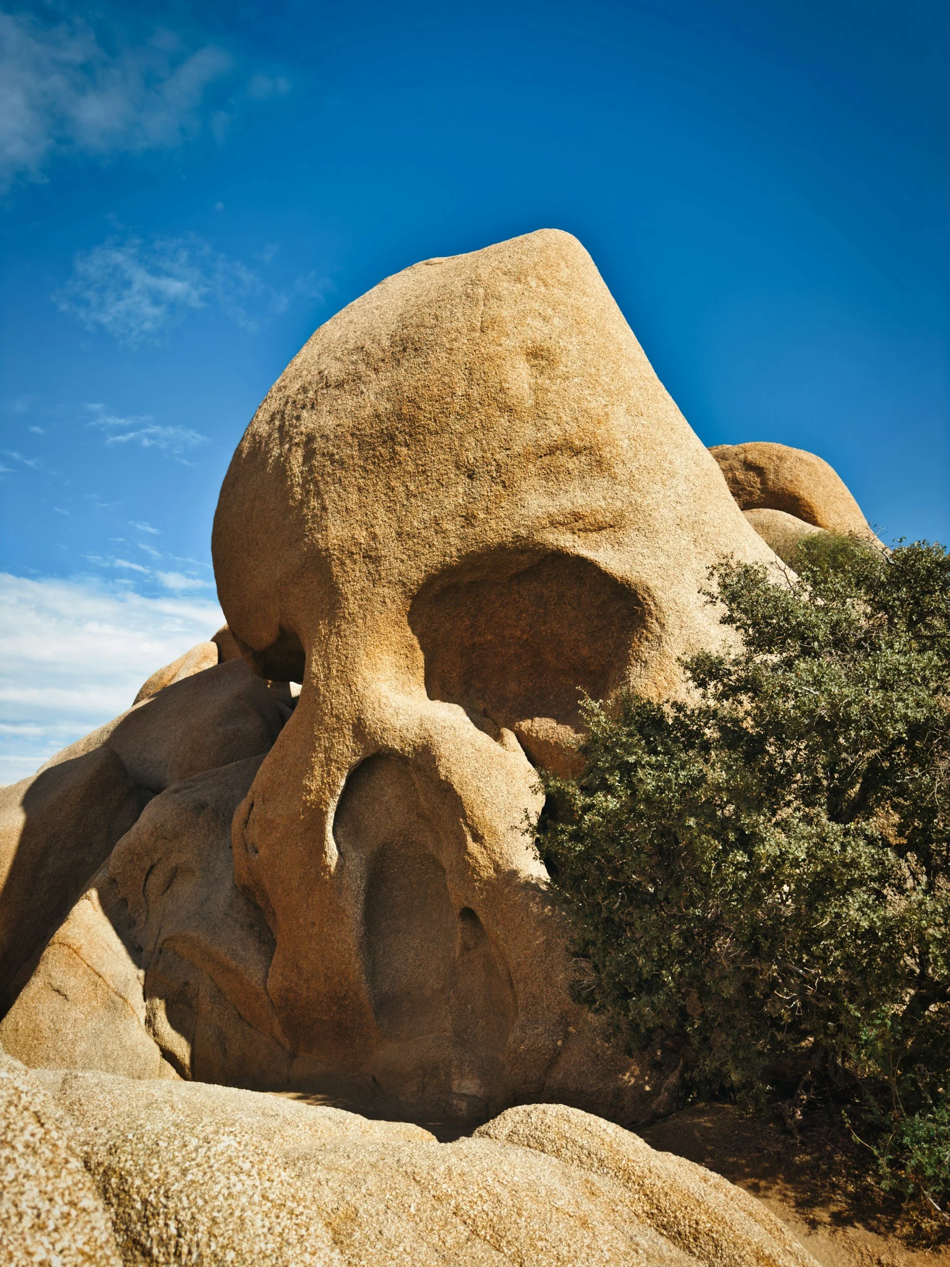 Skull Rock Trail Guide: Joshua Tree's Most Iconic Hike