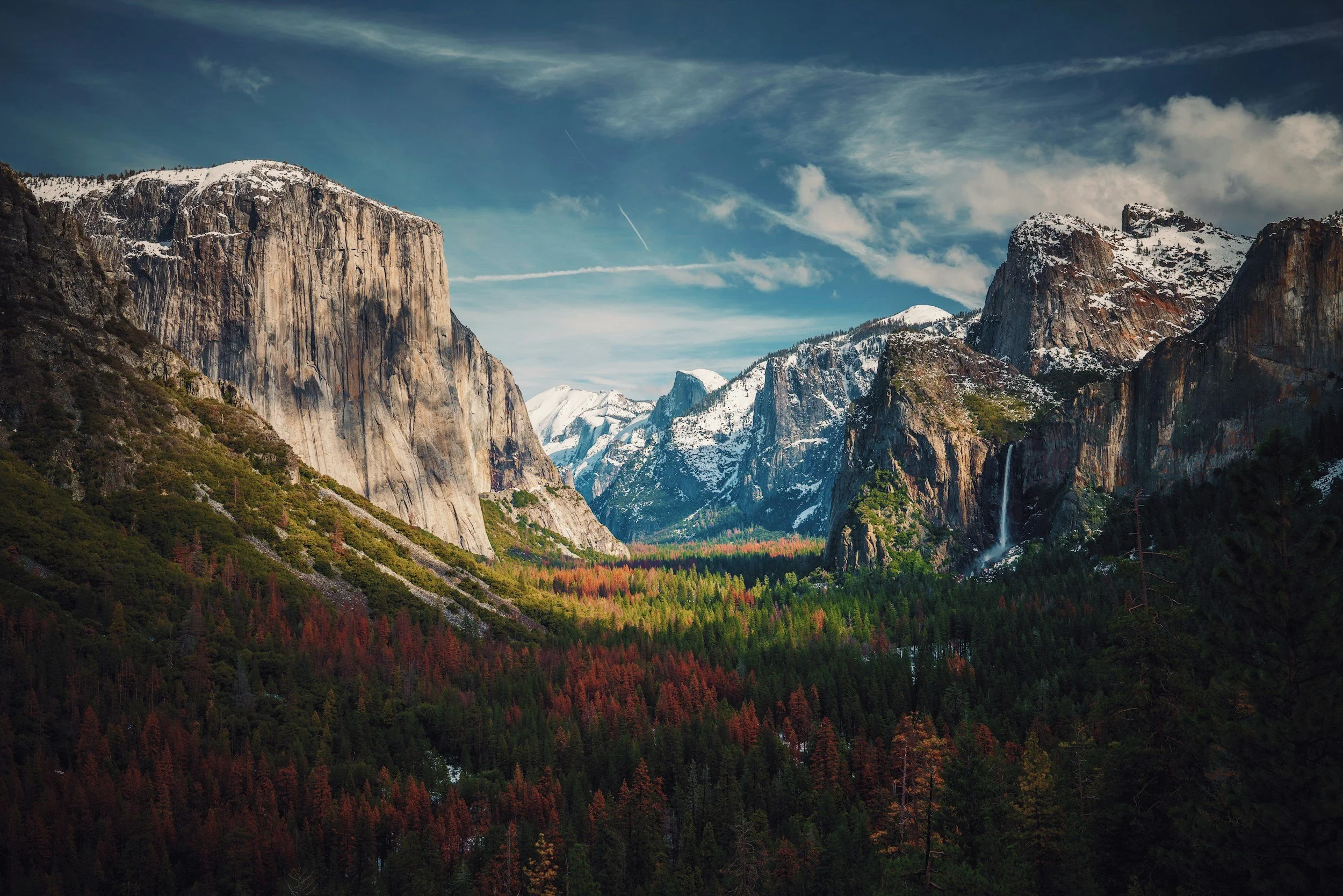 Joshua Tree vs Yosemite: Which National Park Should You Visit?