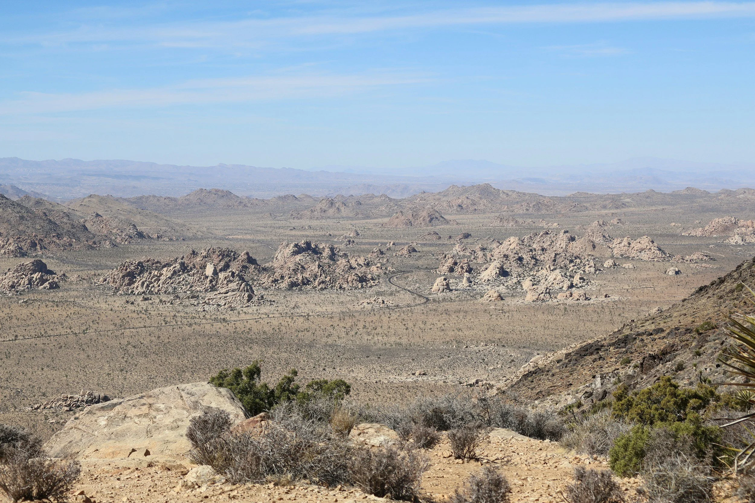 Ryan Mountain Trail Guide: Joshua Tree's Best Summit Hike