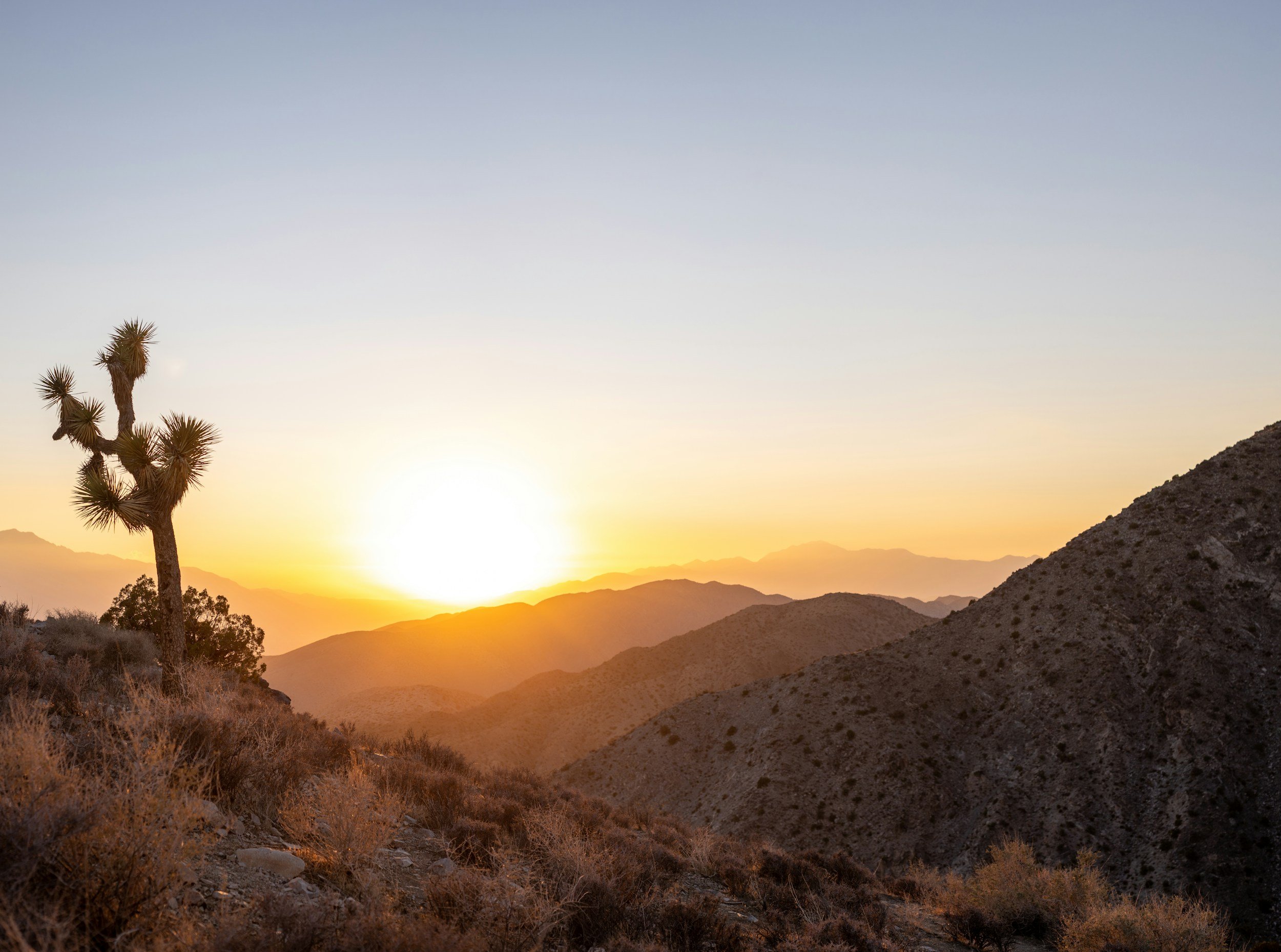 Quail Mountain Trail Guide: Joshua Tree's Highest Peak