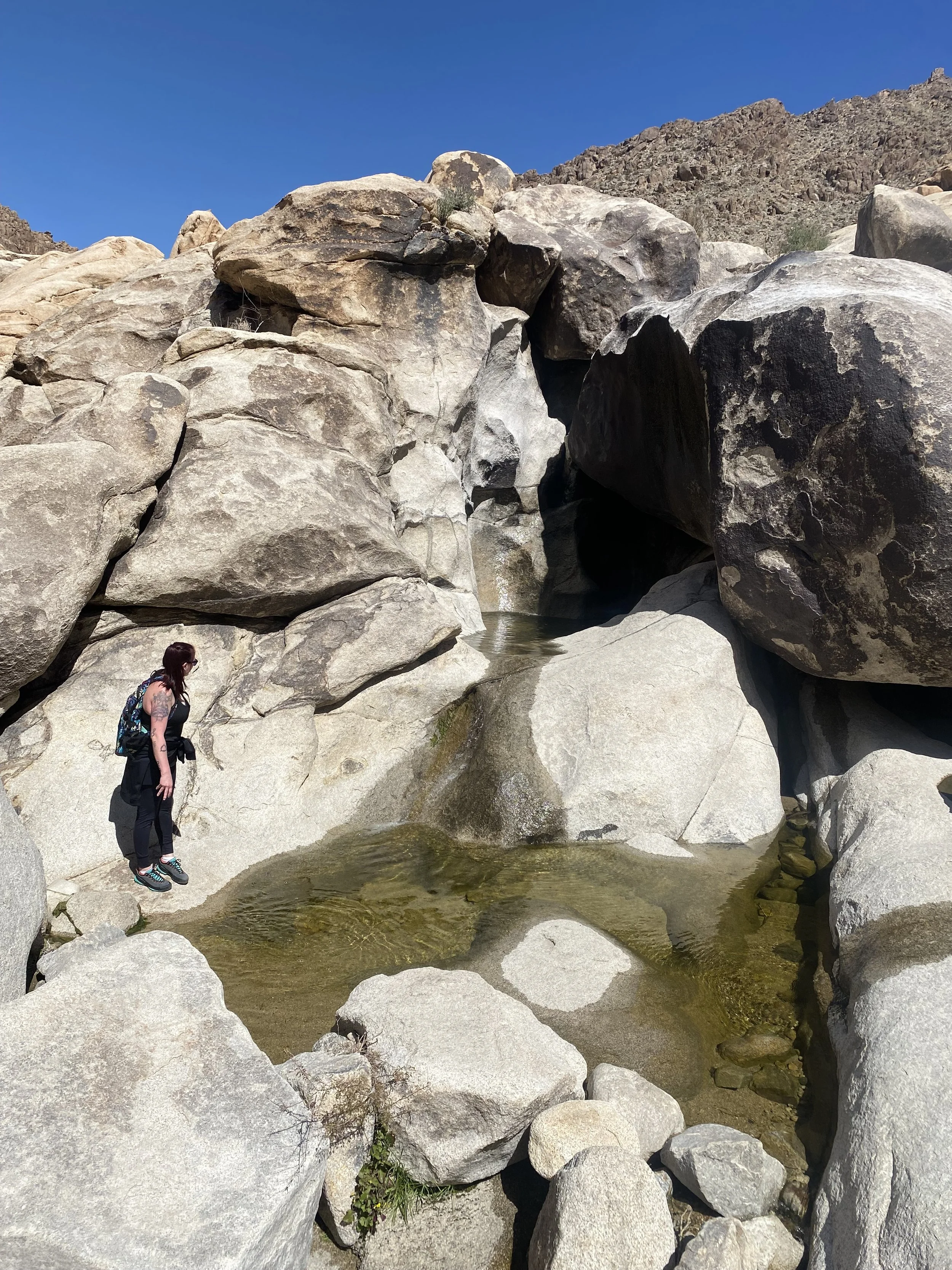 A woman standing next to a small water pool surrounded by large rocks in a desert landscape with clear blue sky.