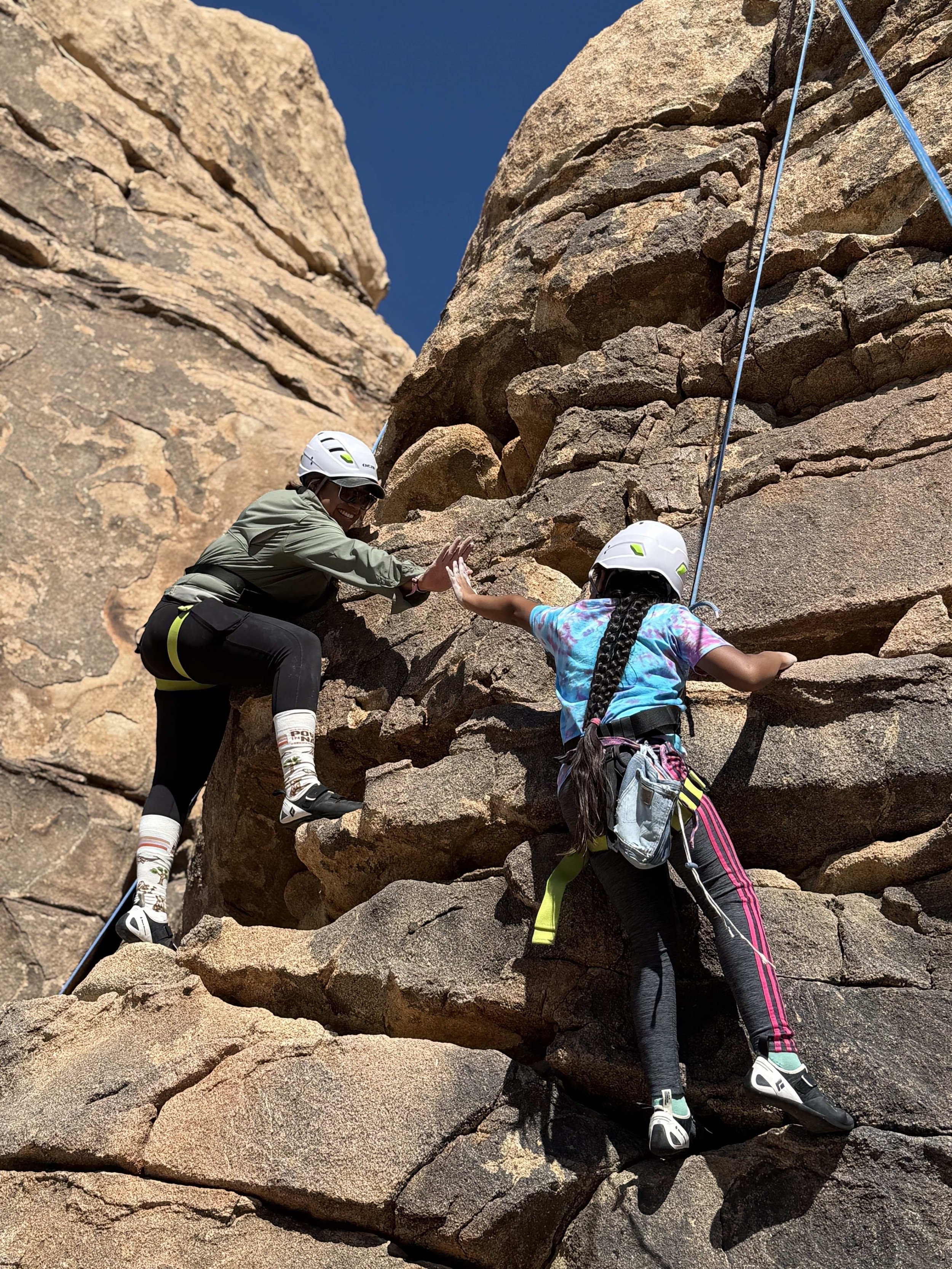 Rock climbing in Joshua Tree National Park — Summit Climbing Guides