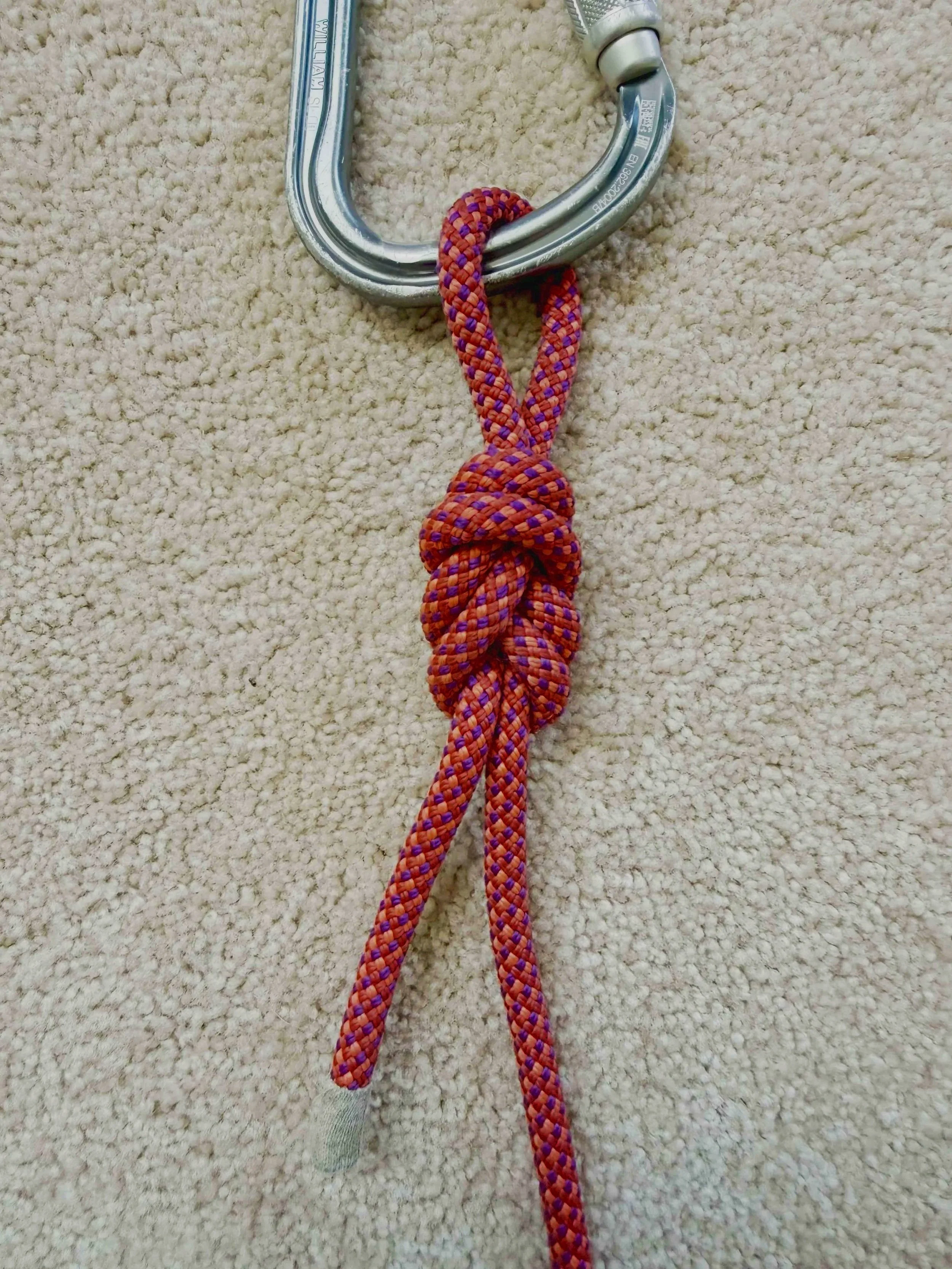 Figure-8 follow-through knot tied into a climbing harness