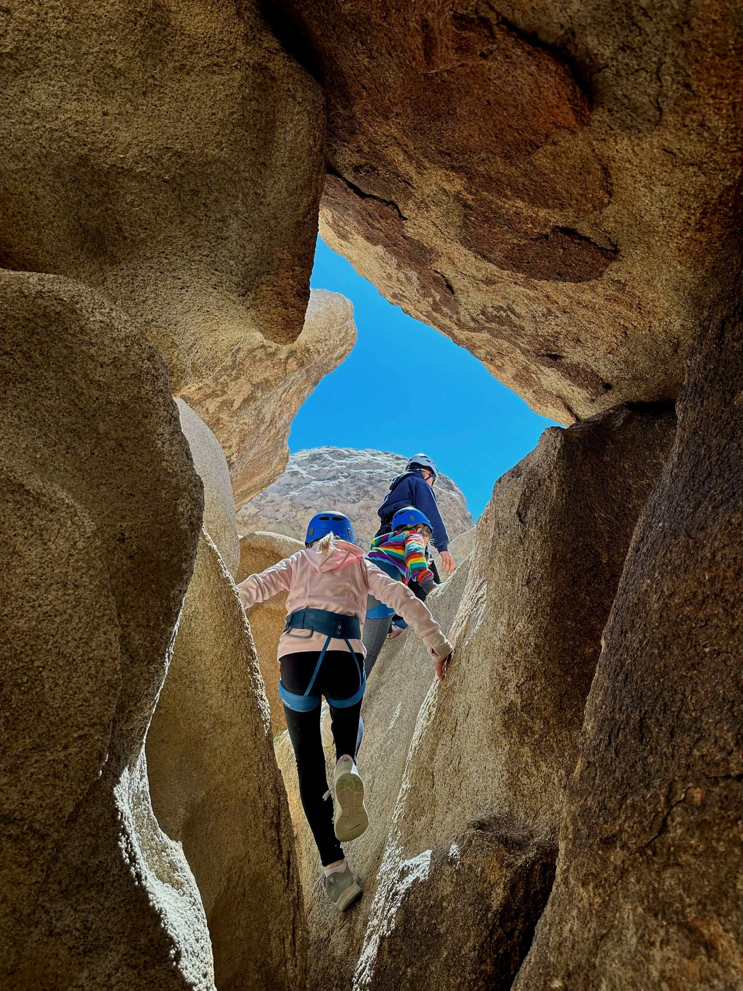 Summit_Climbing_Guides_Autistically_Inclined_Adventure_Climbing.jpg