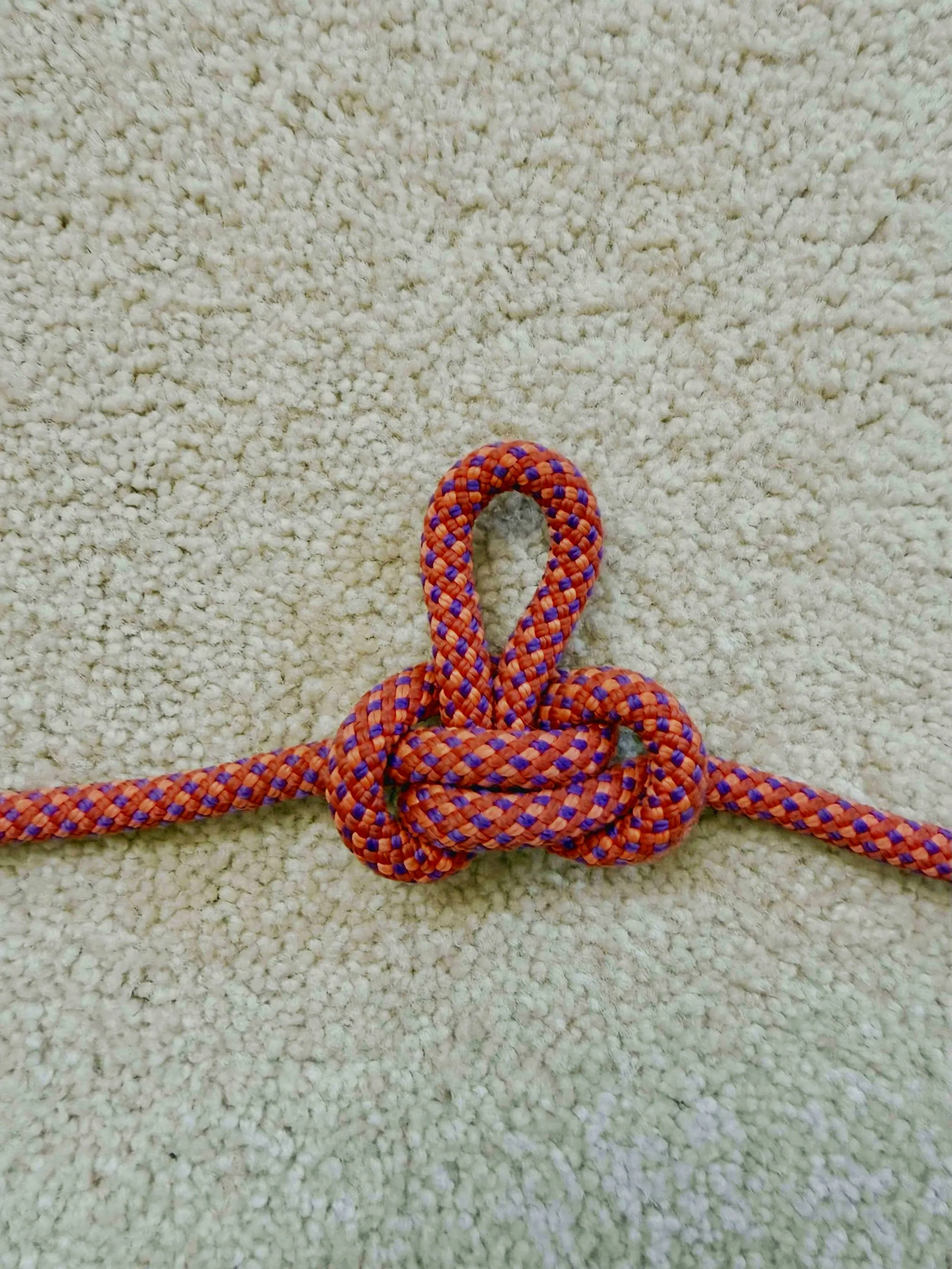 Alpine butterfly knot tied mid-rope