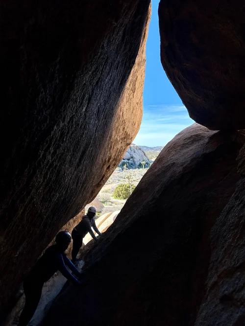 Best Hikes in Joshua Tree National Park