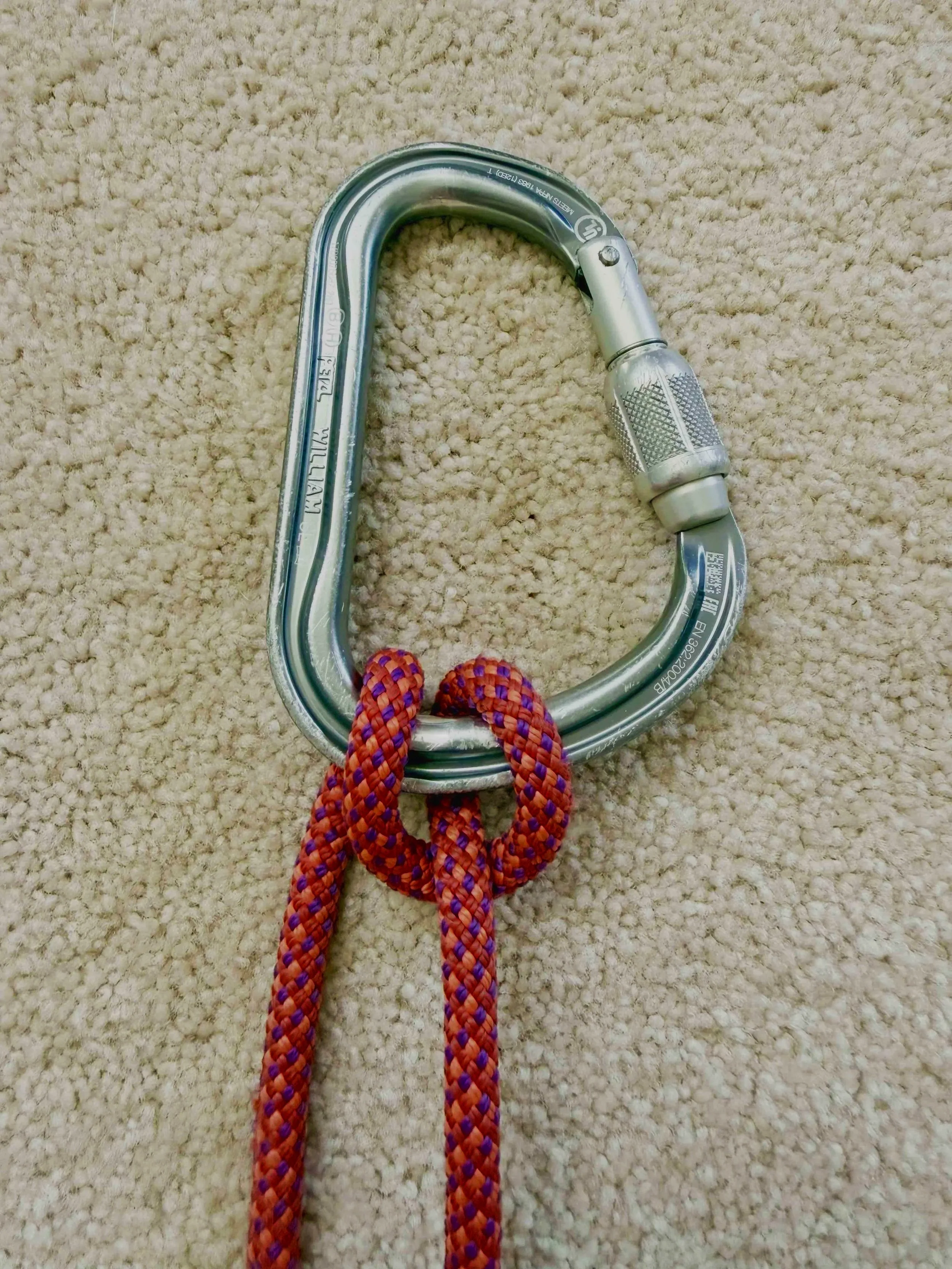 Munter hitch tied on a locking carabiner