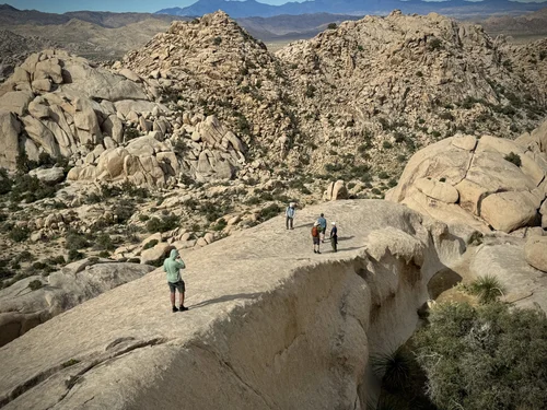 Best Hikes Joshua Tree All Levels