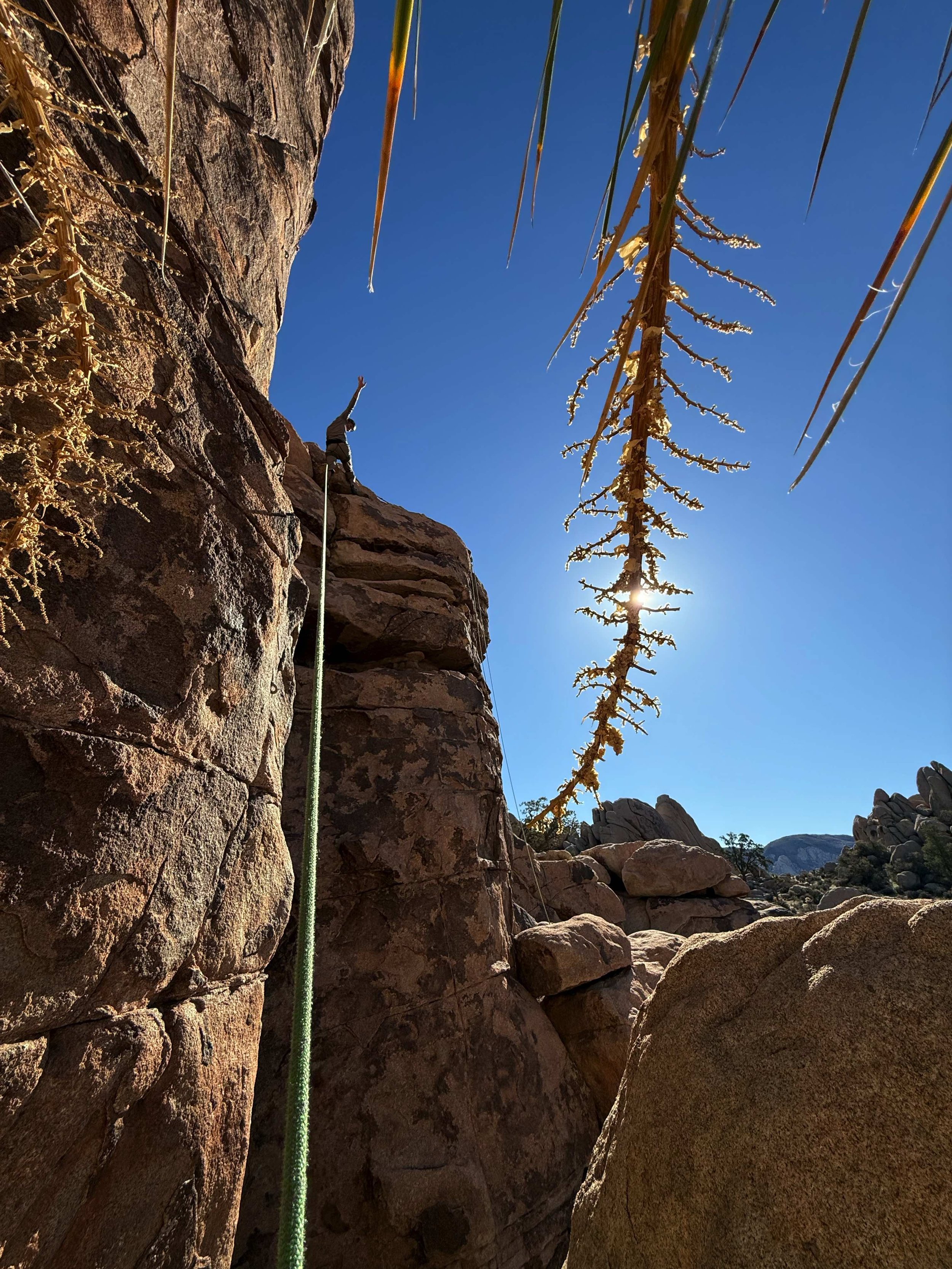 Person rock climbing on a steep cliff with a climbing rope, surrounded by large boulders and desert vegetation under a clear blue sky.