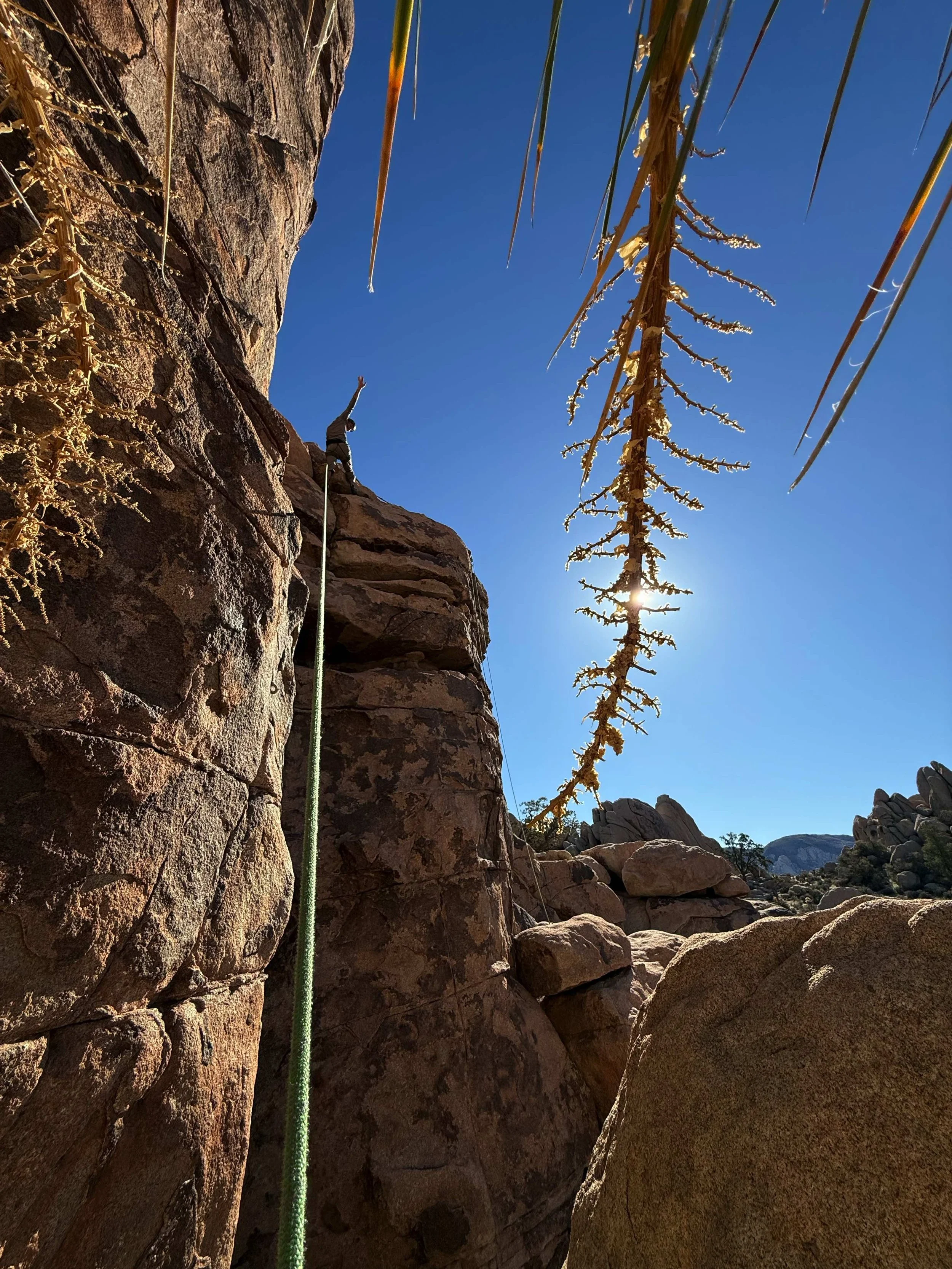 Beginner rock climber on granite in Joshua Tree National Park — Summit Climbing Guides