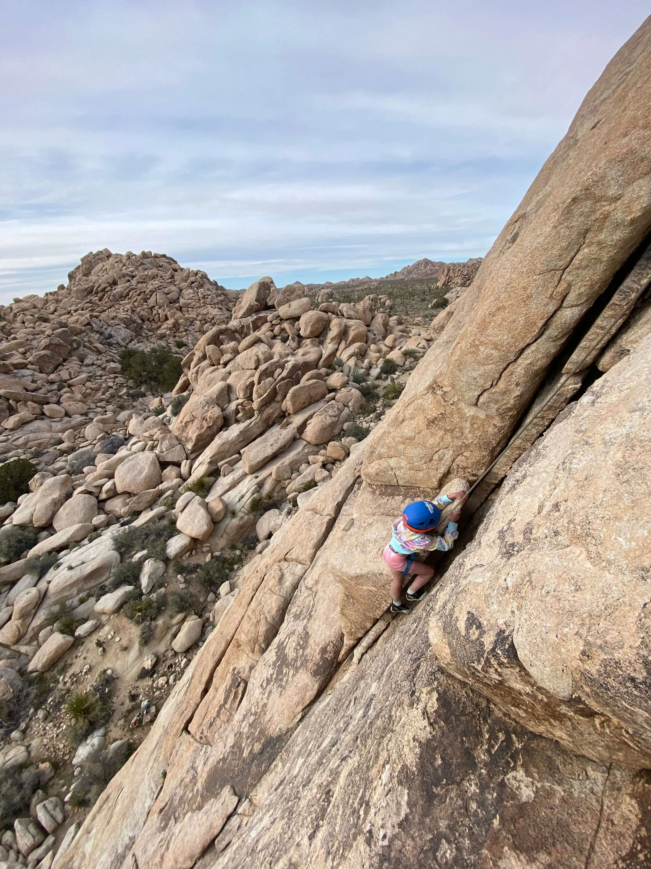 Family hiking in Joshua Tree National Park — Summit Climbing Guides