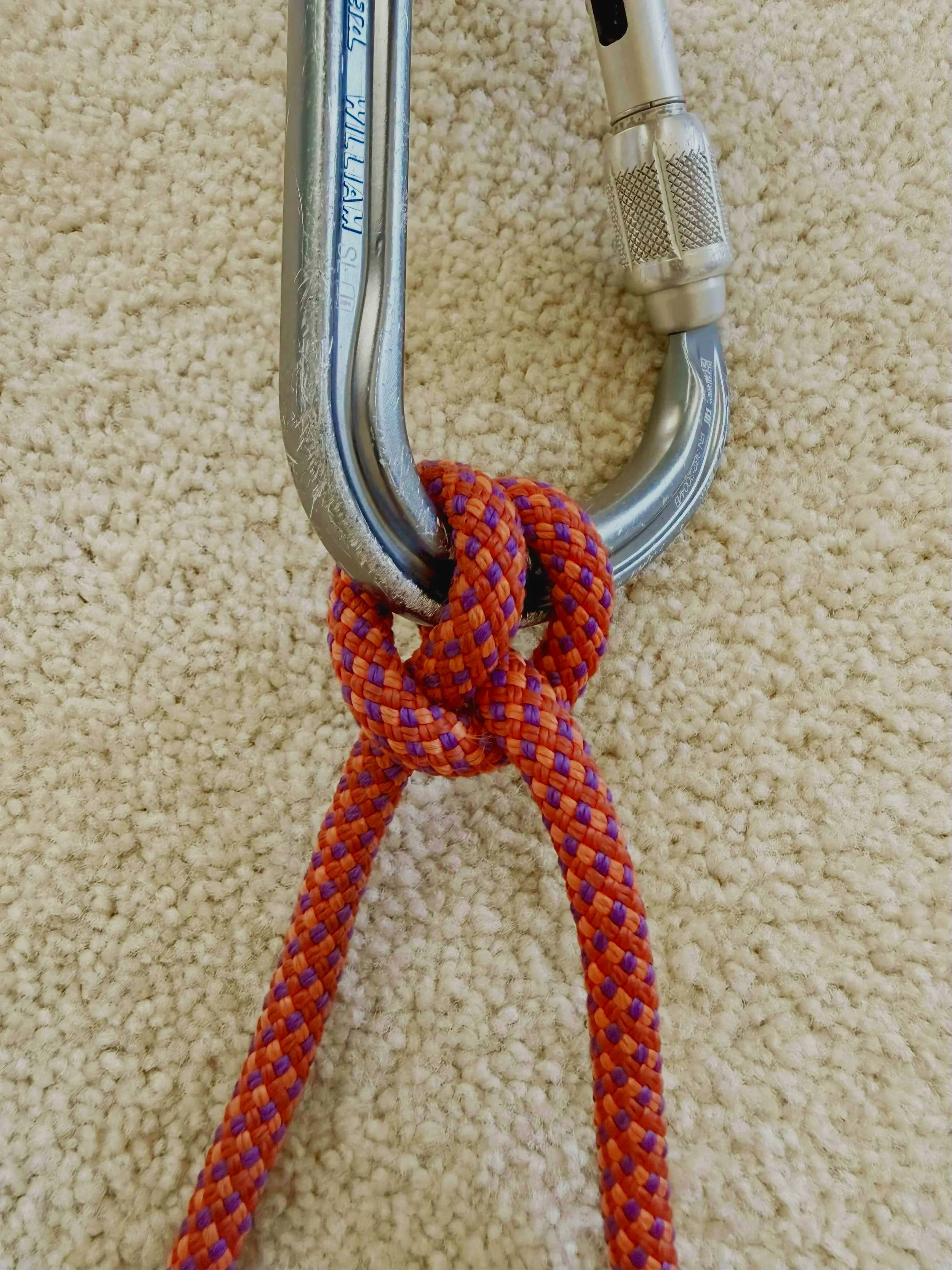 Clove hitch tied onto a locking carabiner