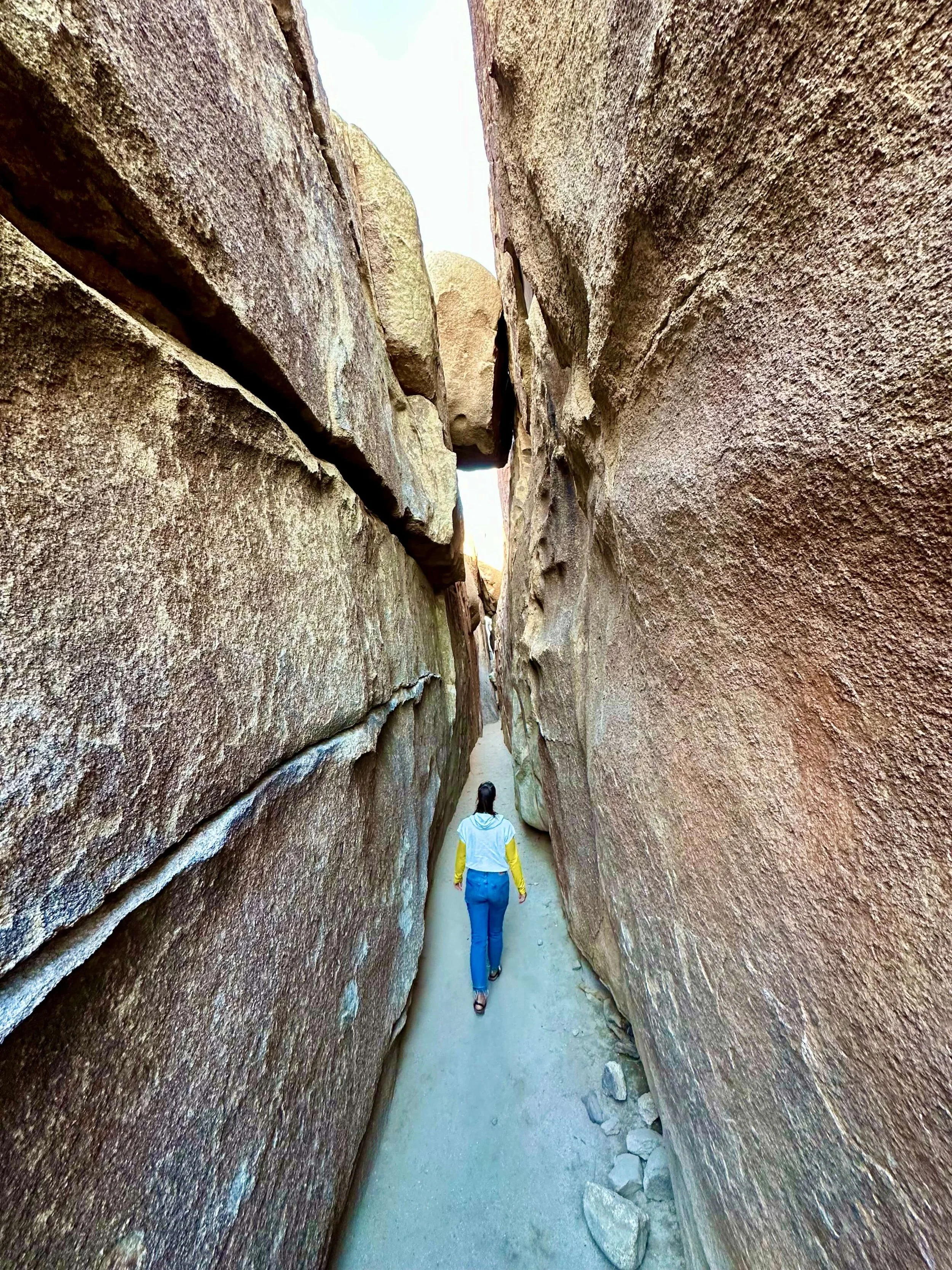 Joshua_Tree_National_Park_Hall_Of_Horrors_Summit_Climbing_Guides_2024.jpeg