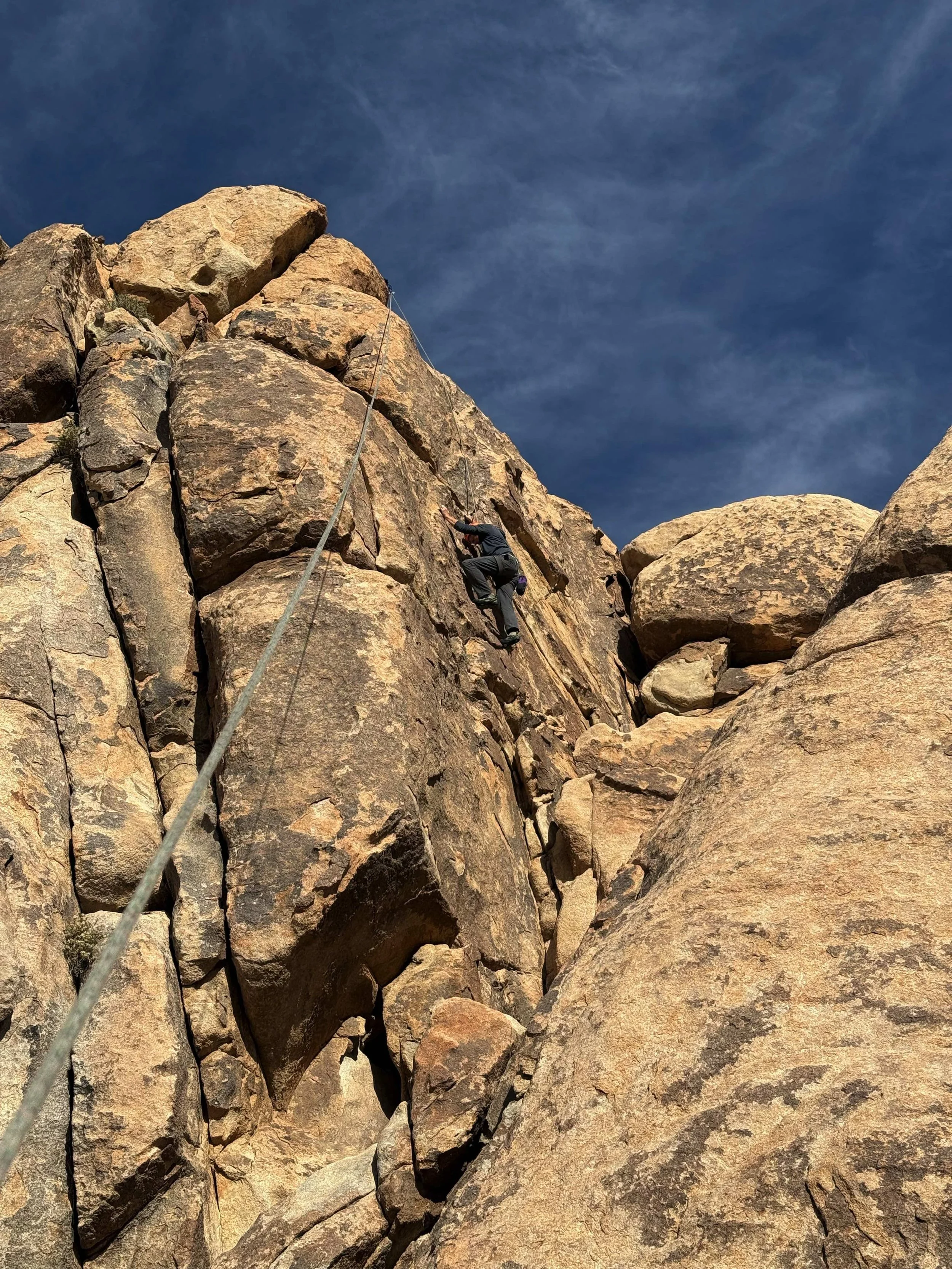 Guided Rock Climbing in Joshua Tree National Park.