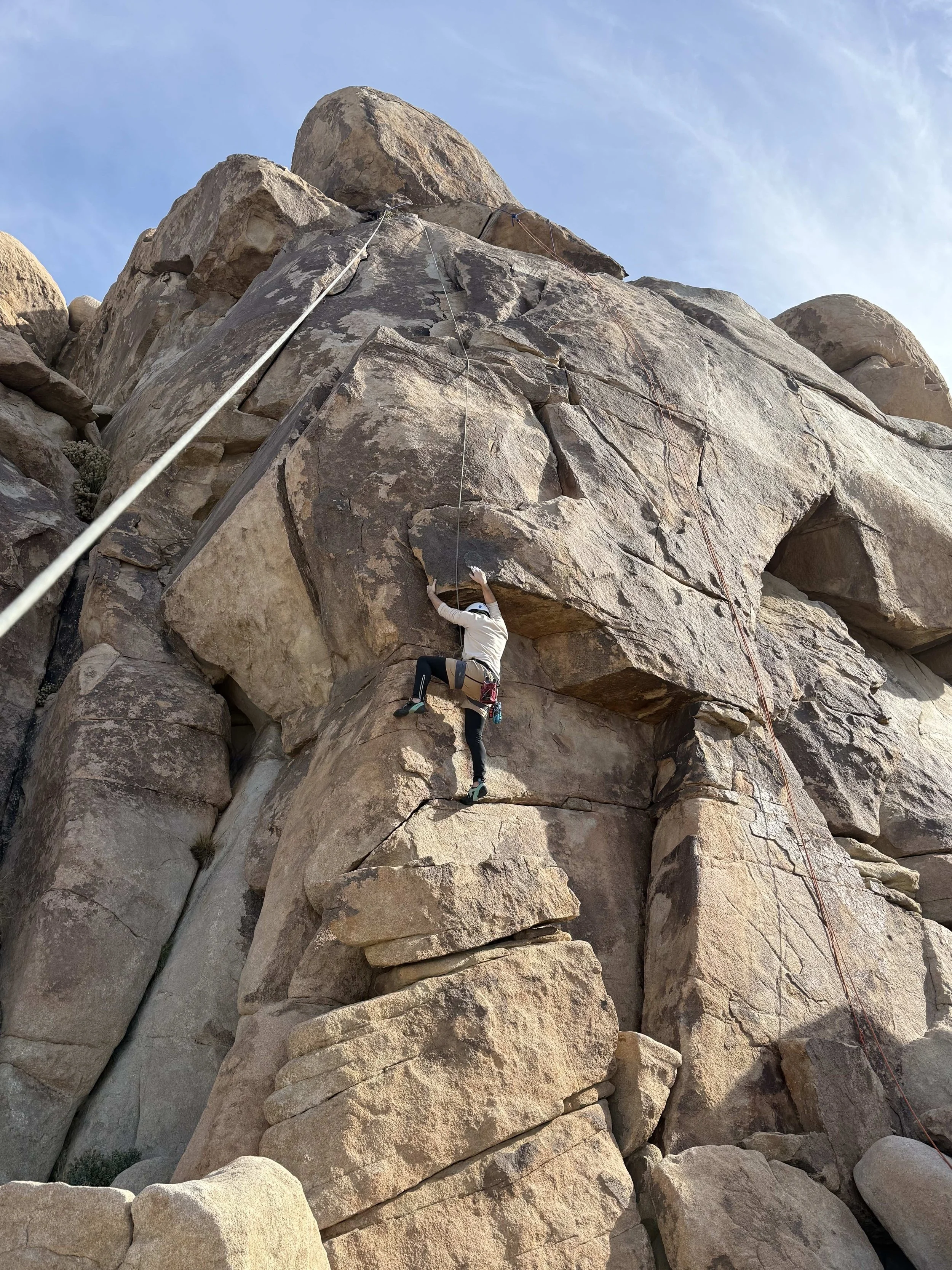 Guided Rock Climbing in Joshua Tree National Park.