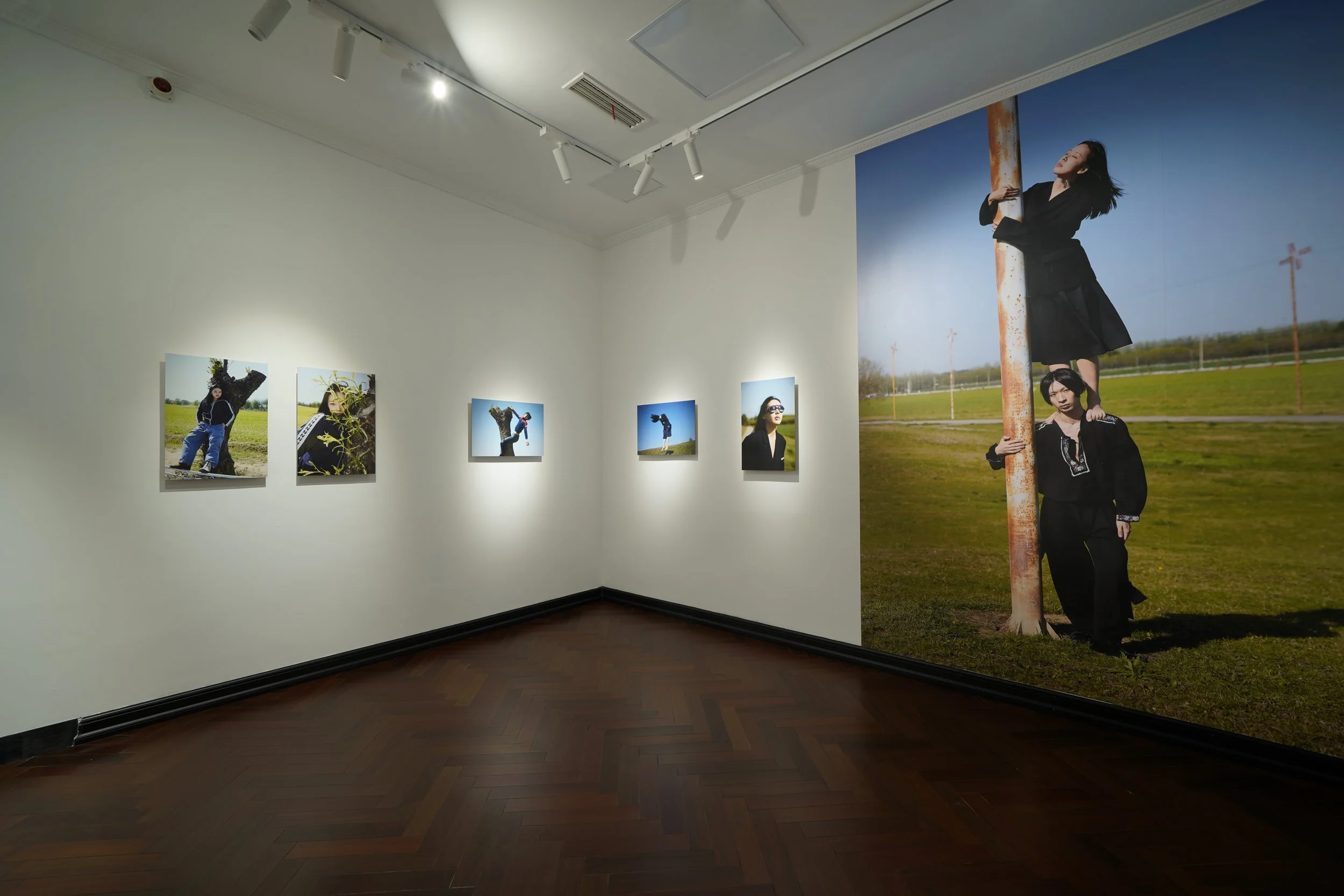 Movement – Contemporary Moves