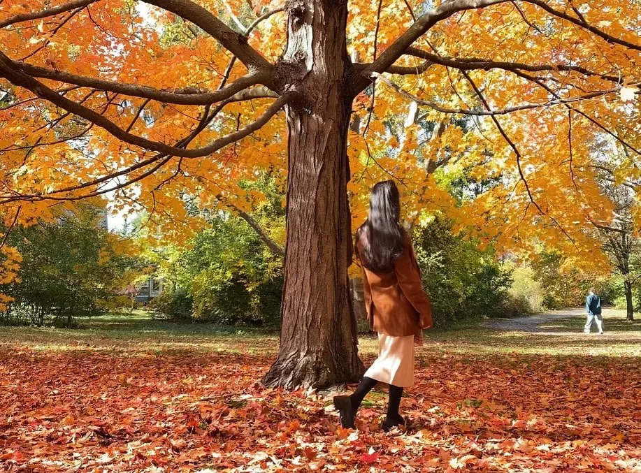 Autumn 🍂 in New England &hearts;️
(Natural light)

Vitoria Regia Paintings
Artist Vitoria Regia 
Vitoria Regia Artist 
#vitoriaregiaartist 

#fall #autumn #autumn #newenglandfall #massachusetts #boston #bostonma